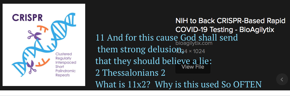 Screen Shot 2021-08-20 at 9.32.43 AM.png