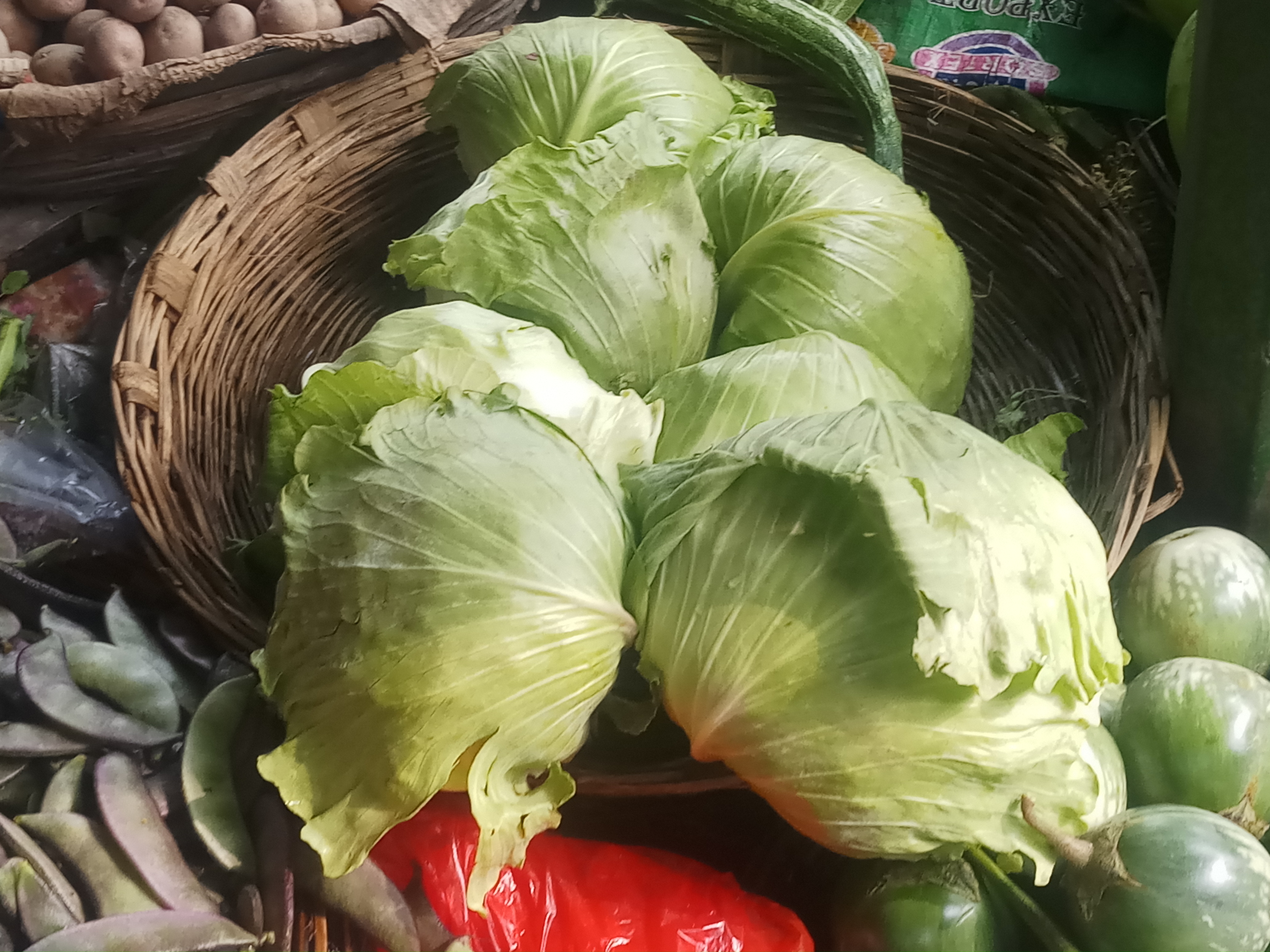 20191105_131747.jpg