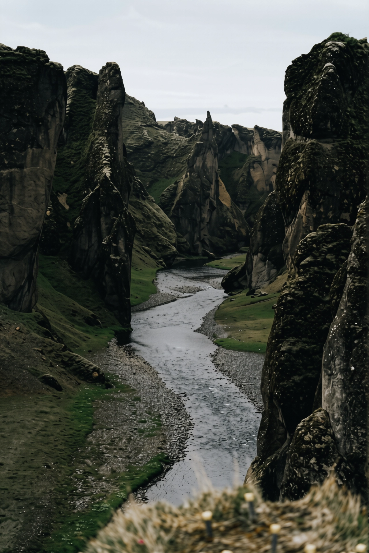 197.webp