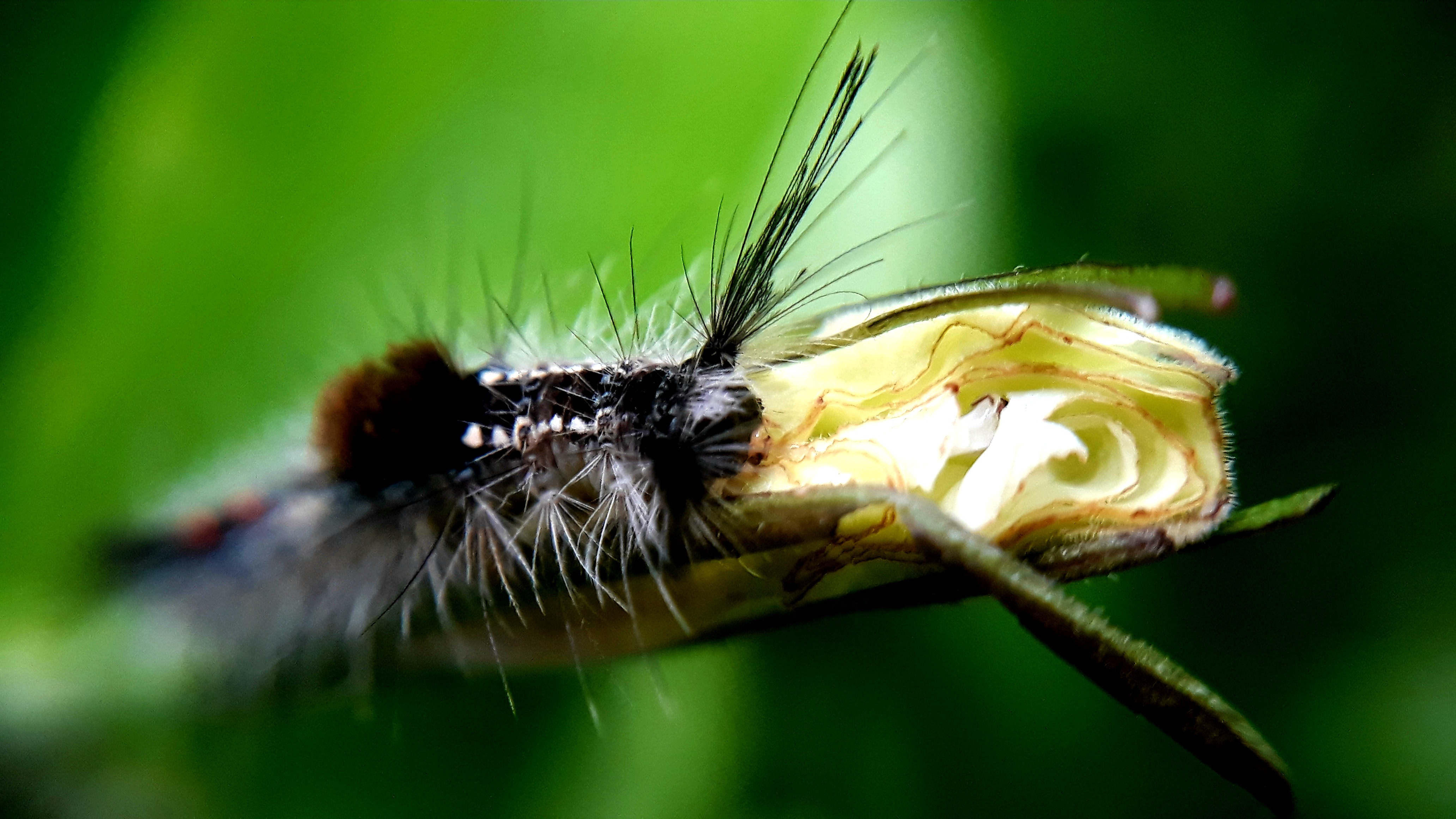 20210528_202011.jpg