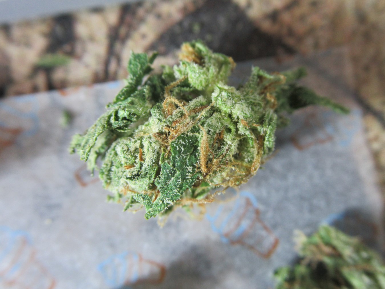 microcakepistilshine.jpg