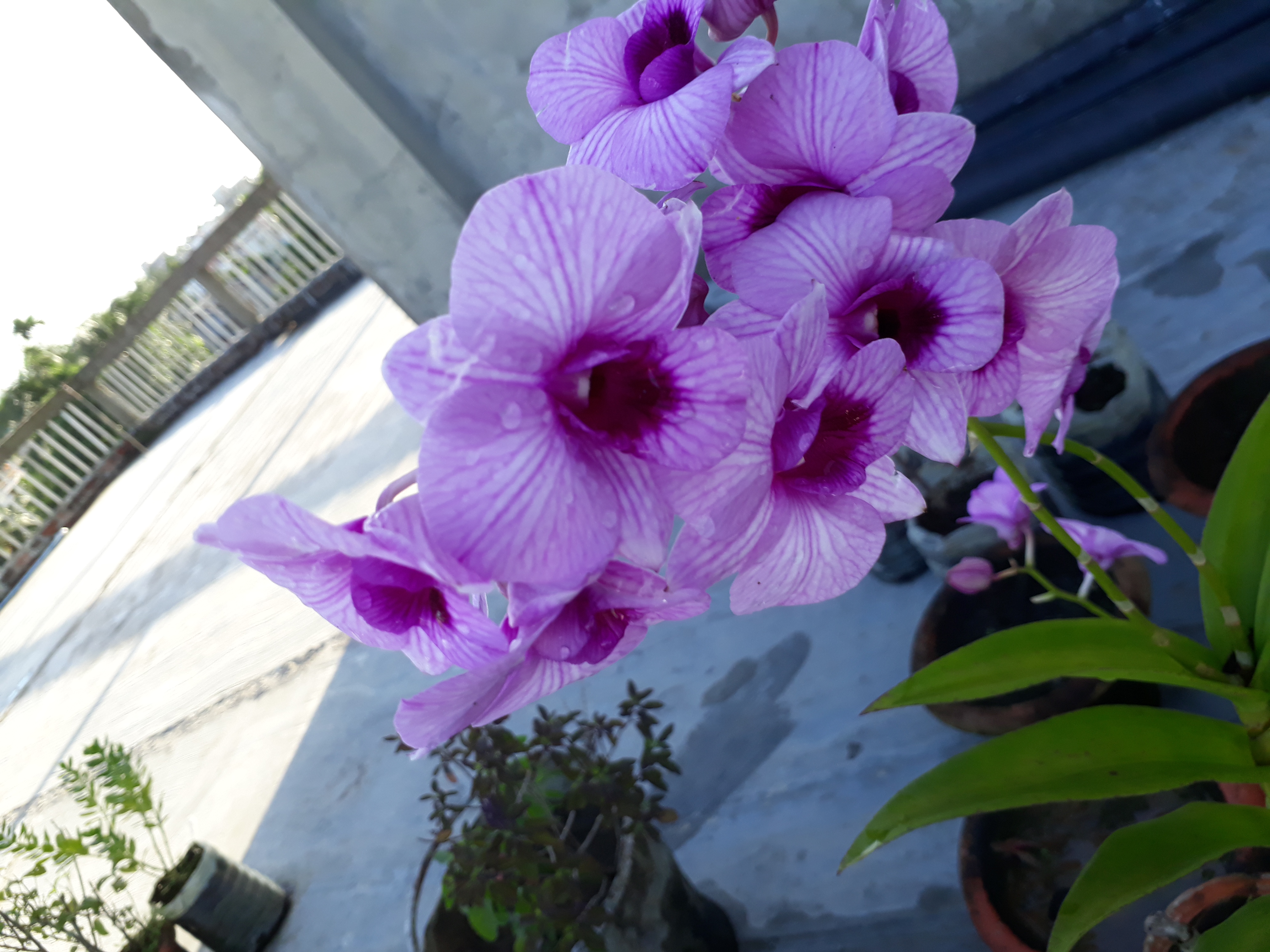 20170921_162434.jpg