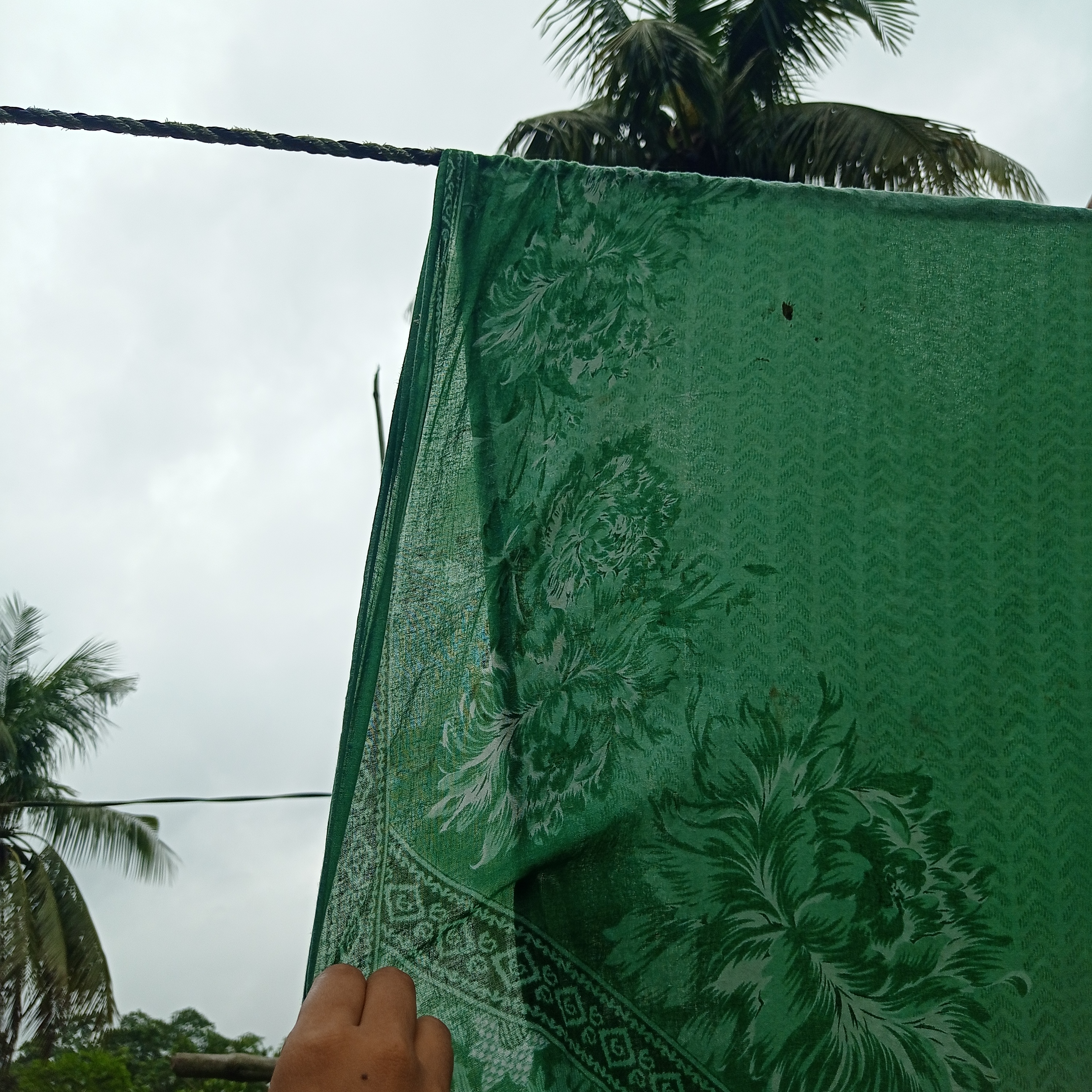 IMG_20260730_141531.jpg