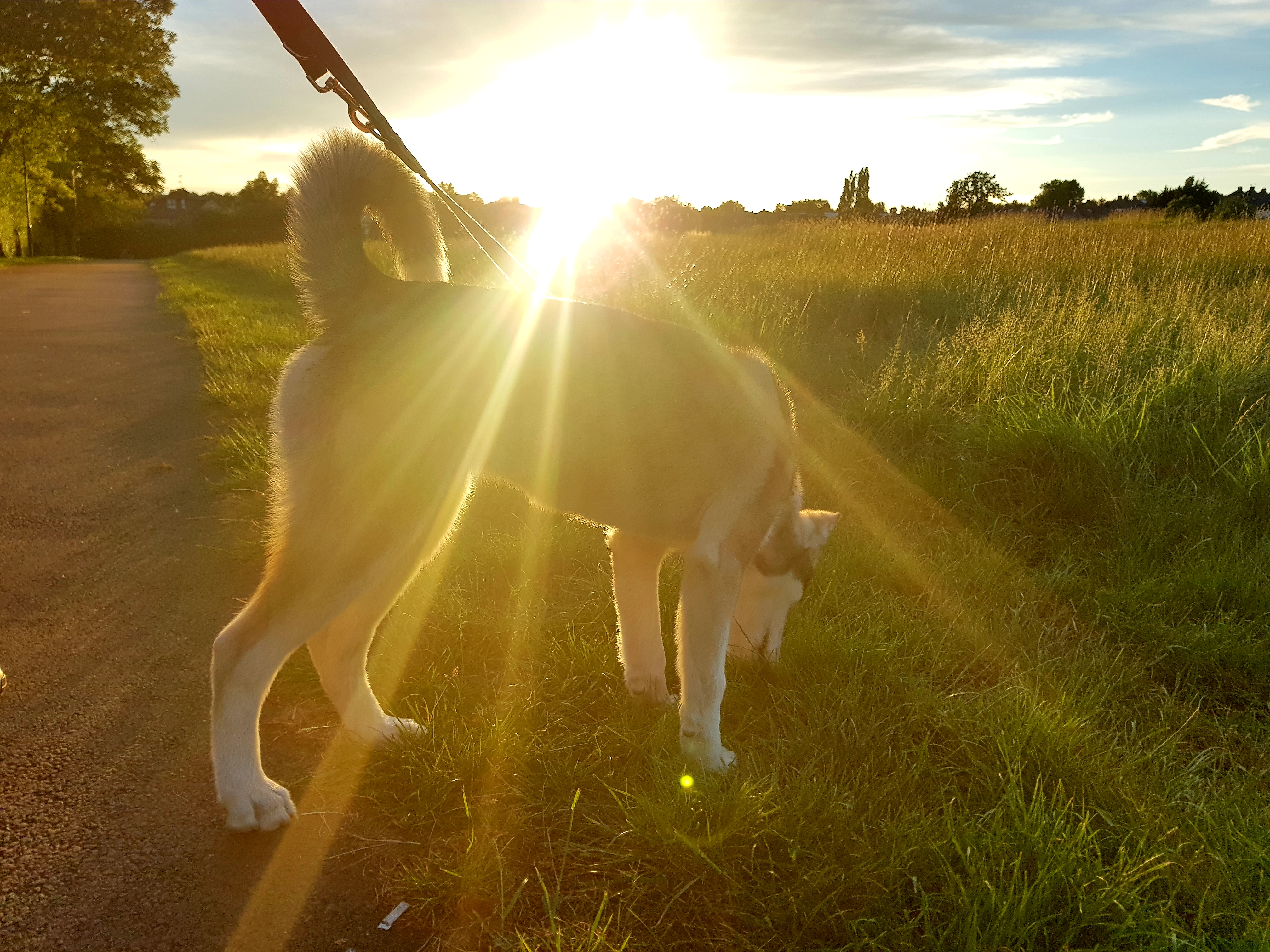 20190606_220517.jpg