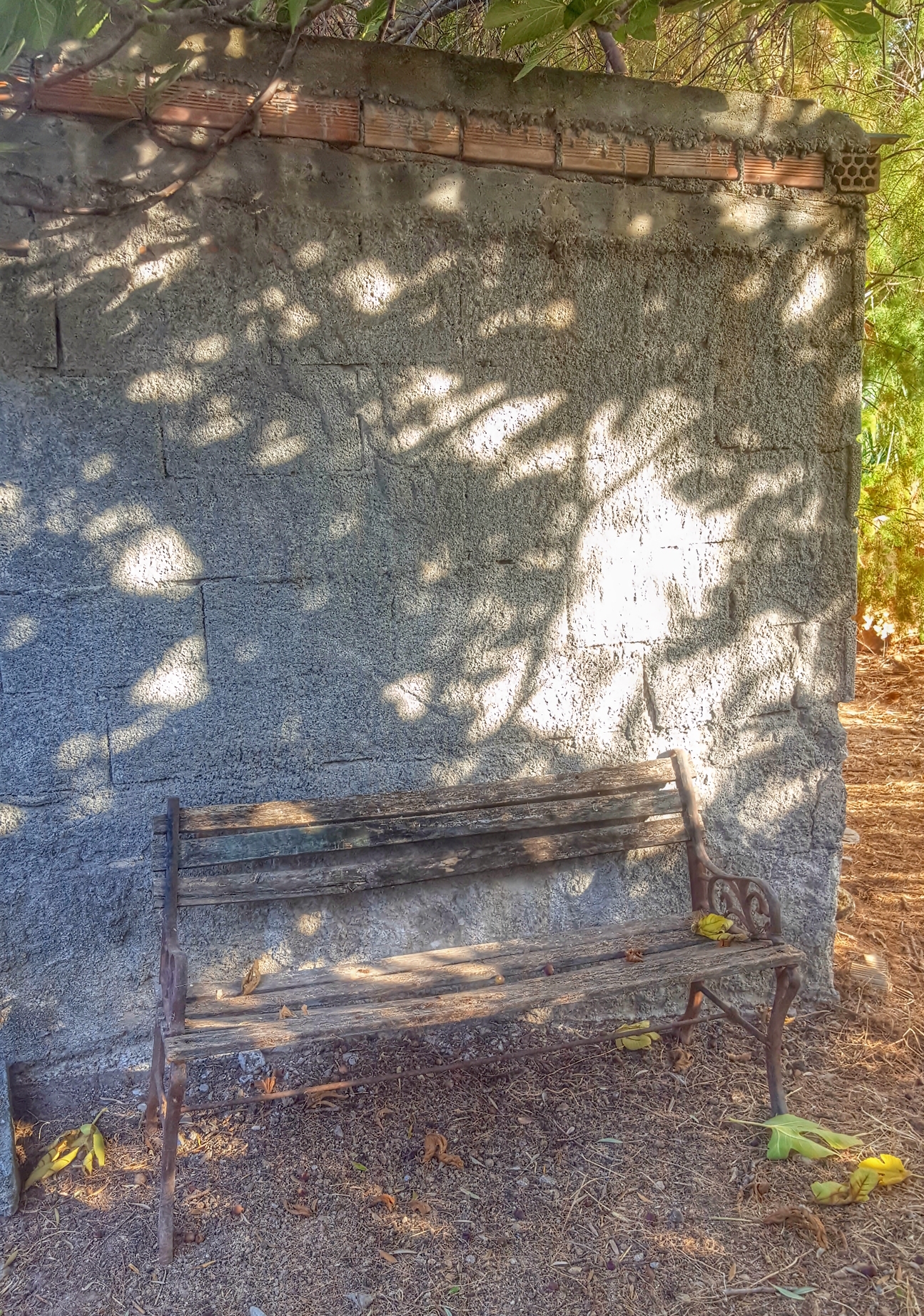 20190717_235442.jpg