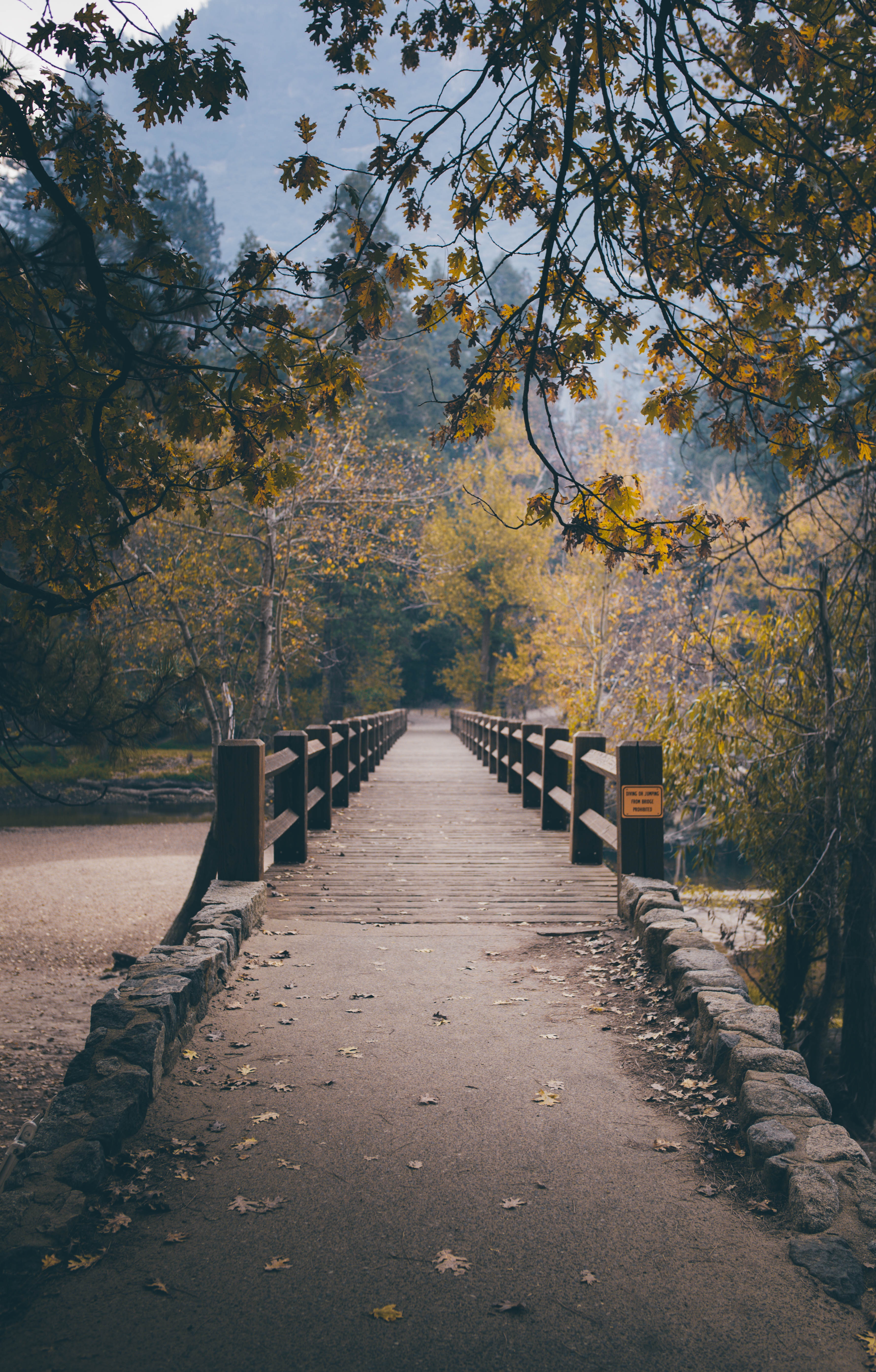 landscape-3766558 (1).jpg