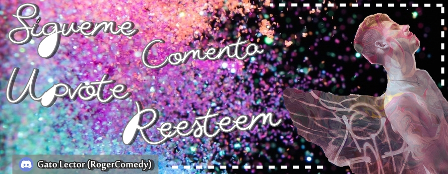banner gato.jpg