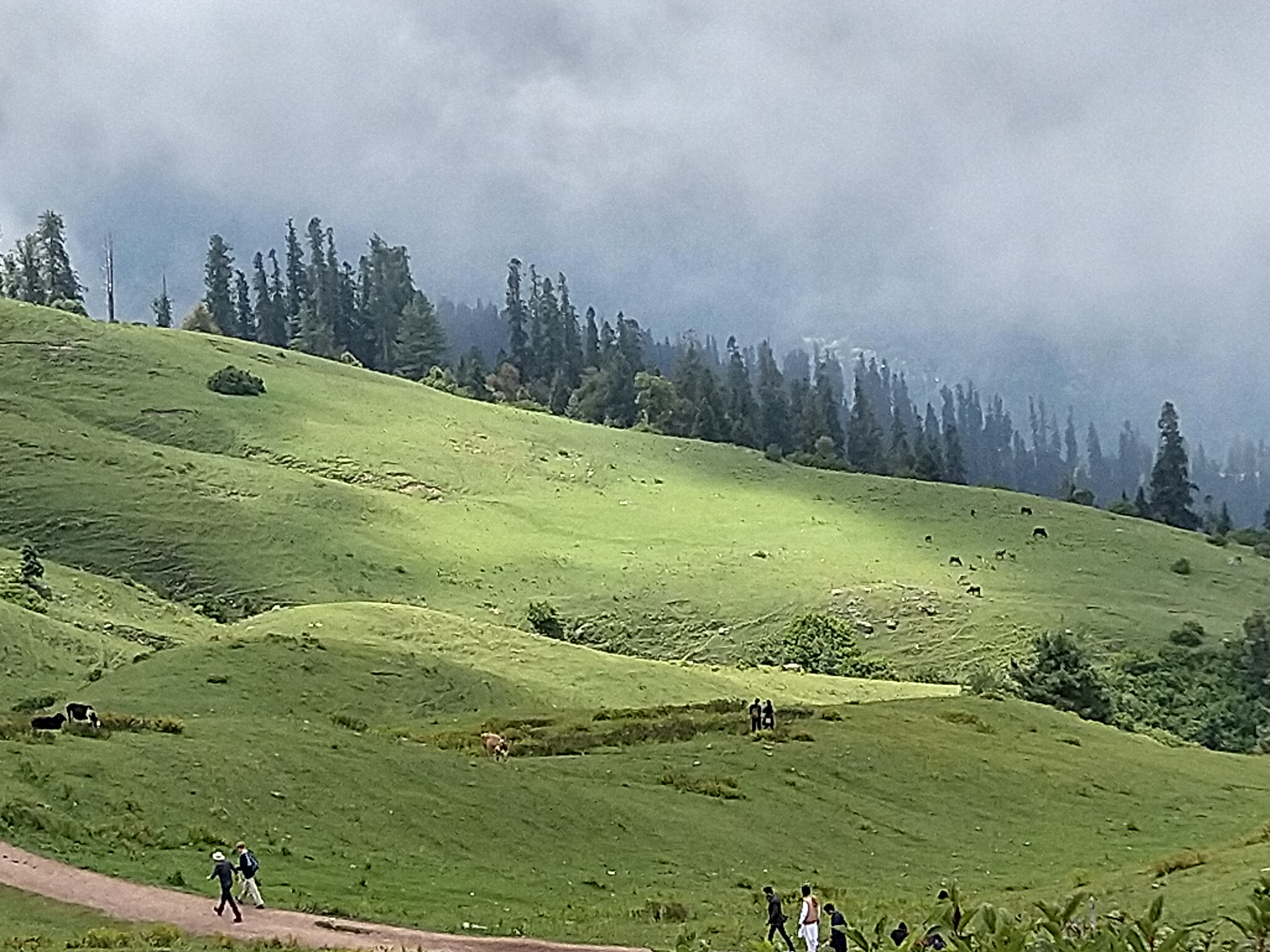 IMG_20200822_123409653_HDR.jpg