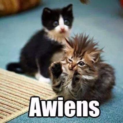 Awiens.jpg