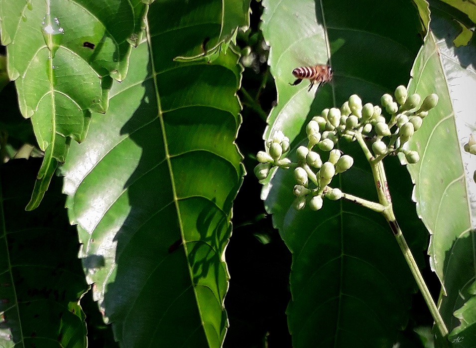 20191009_084830- b.jpg