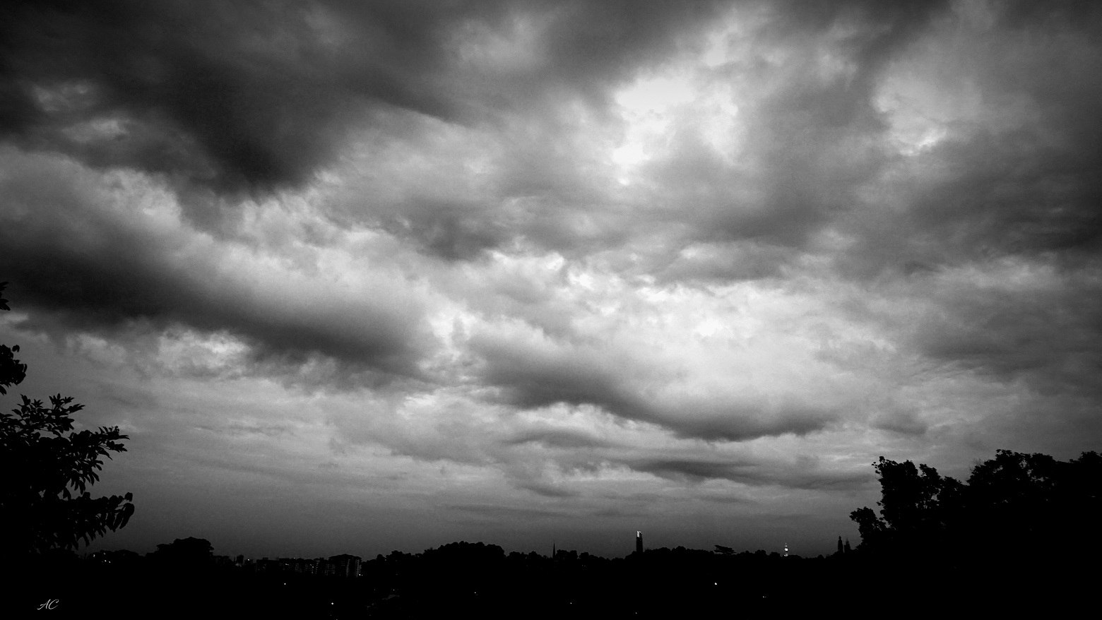 DSC07749b.jpg