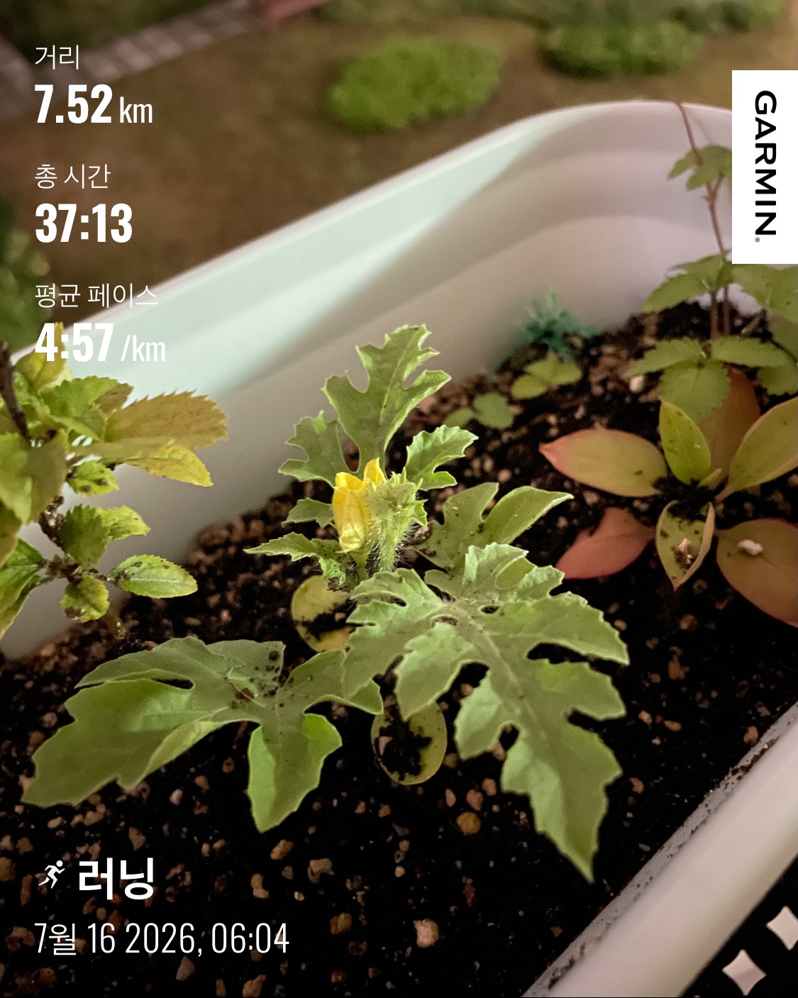 KakaoTalk_20260716_070512295.jpg