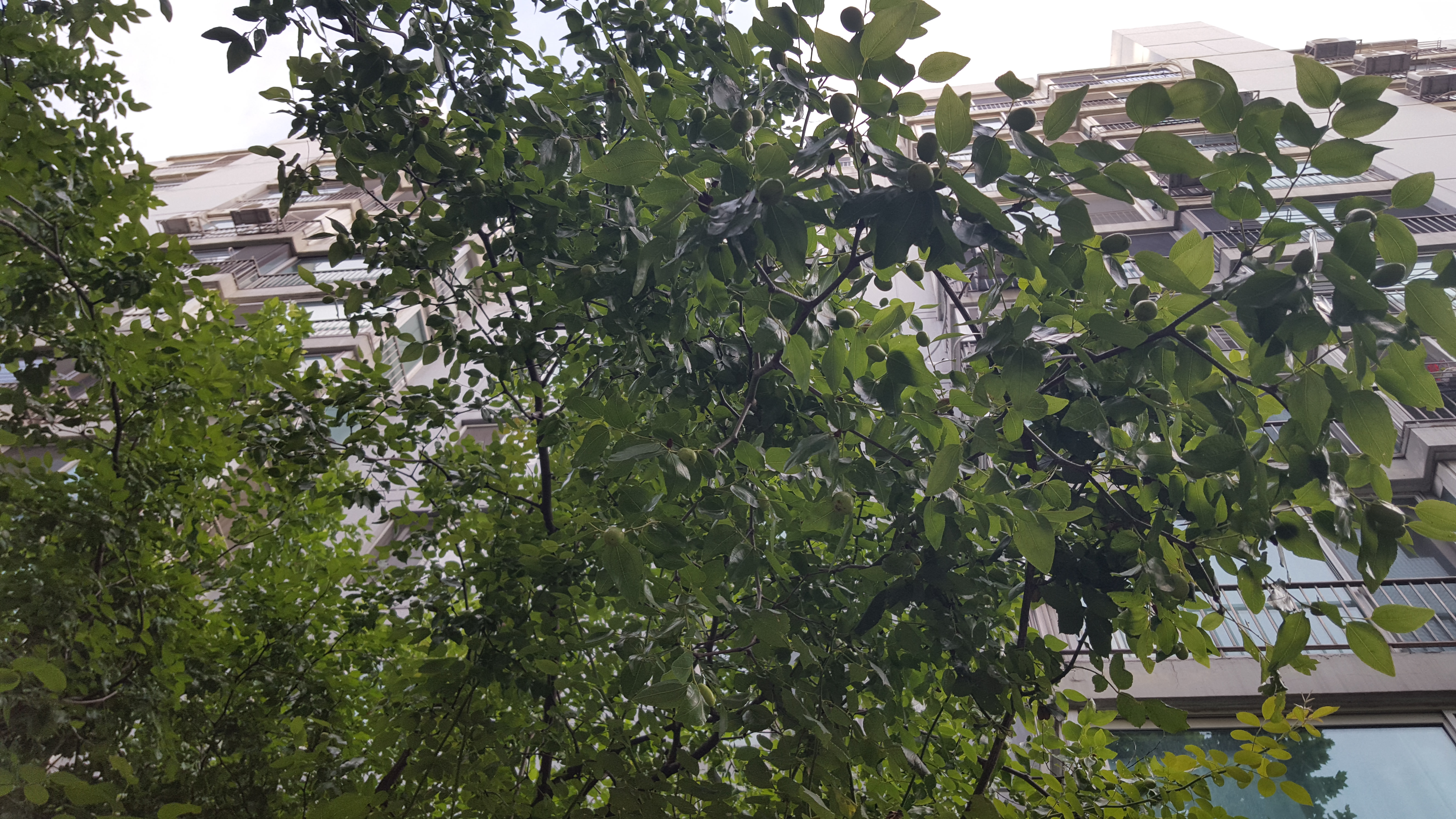 20210722_073833.jpg