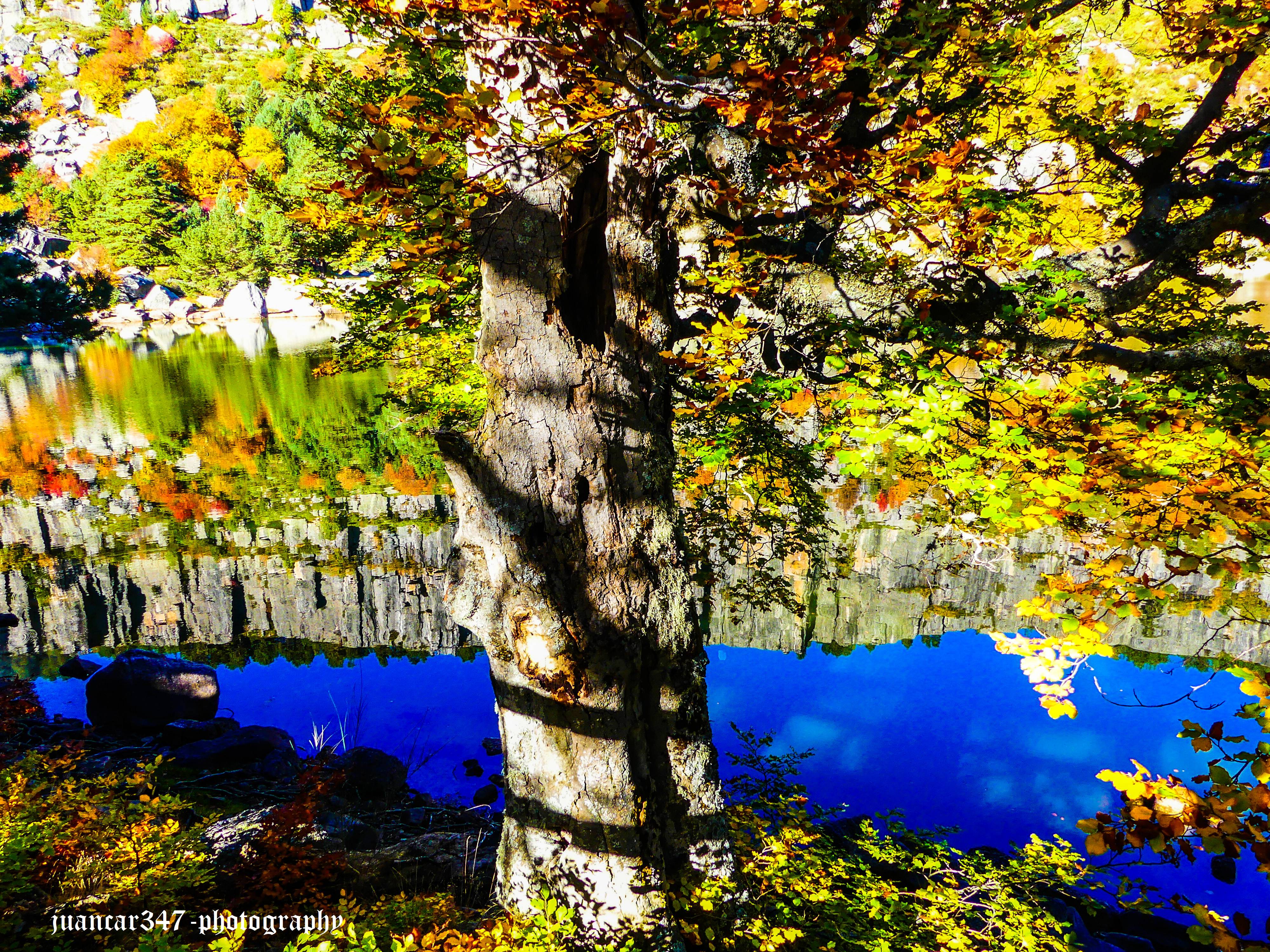 P1170772_edited.jpg
