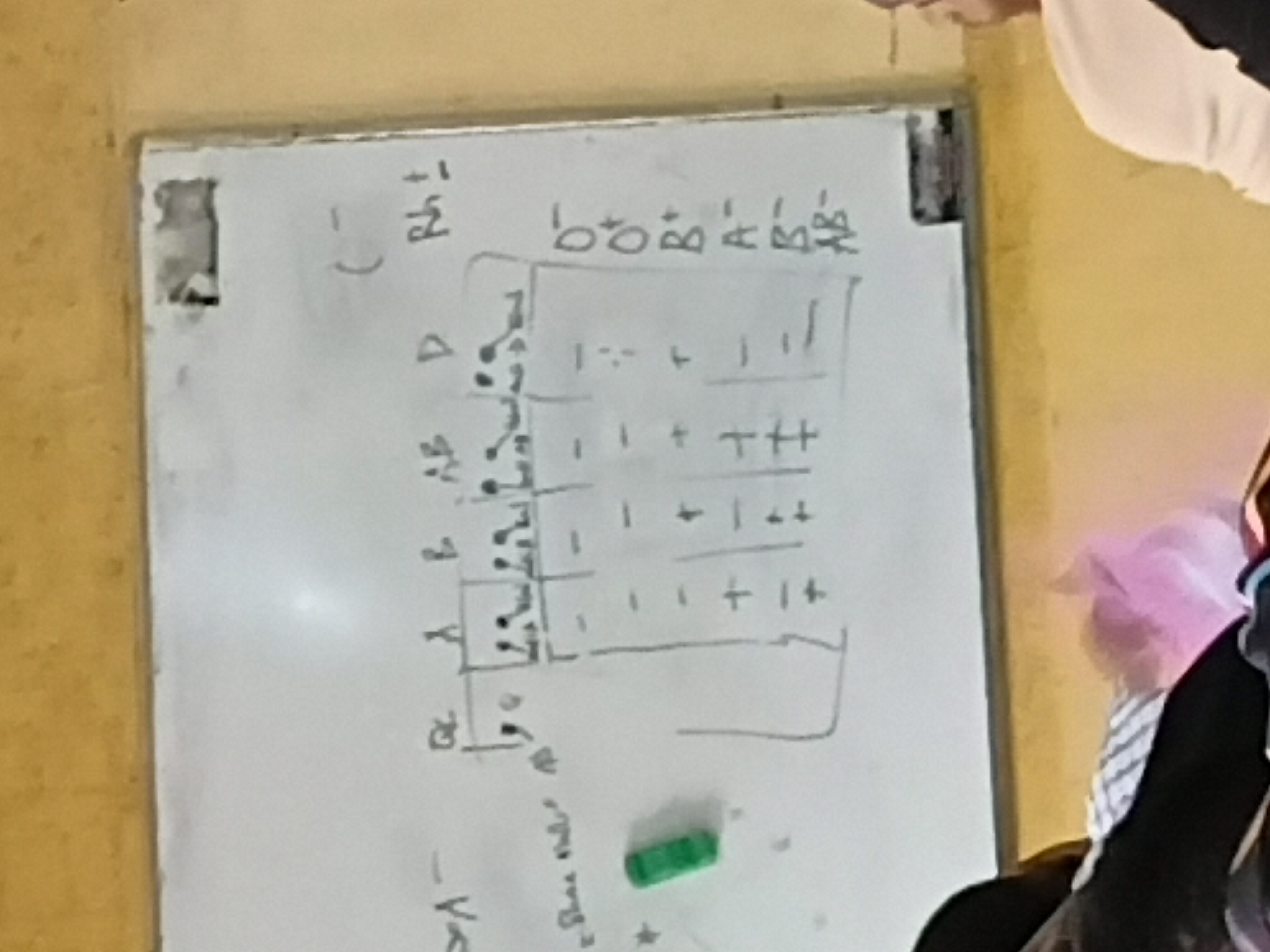 38762.jpg