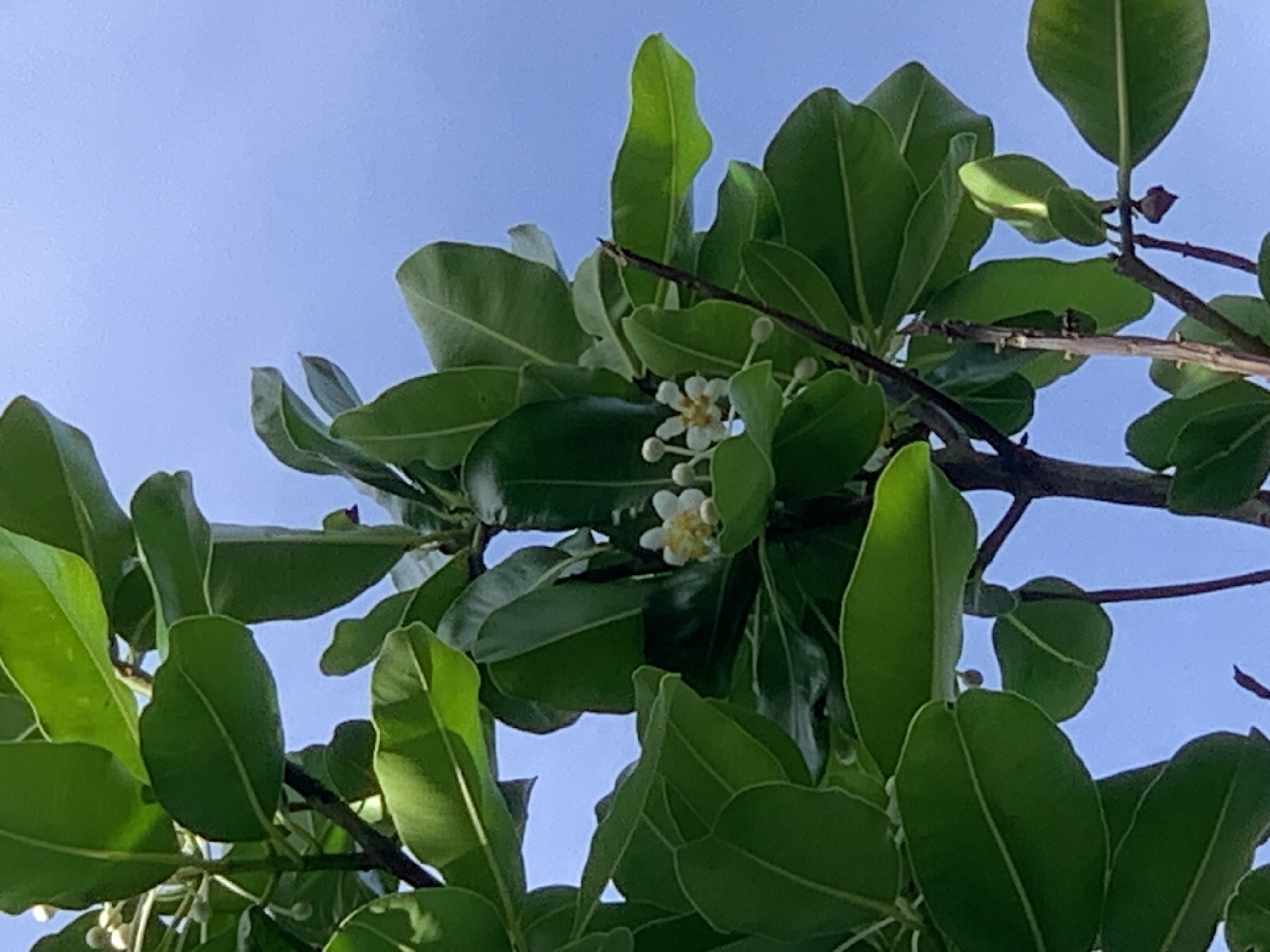 nature809.jpg