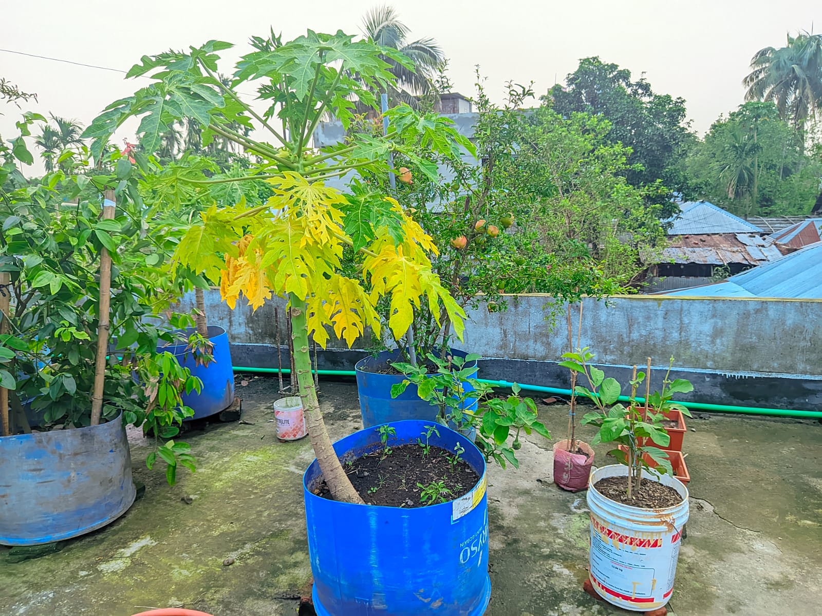 1000120324.jpg