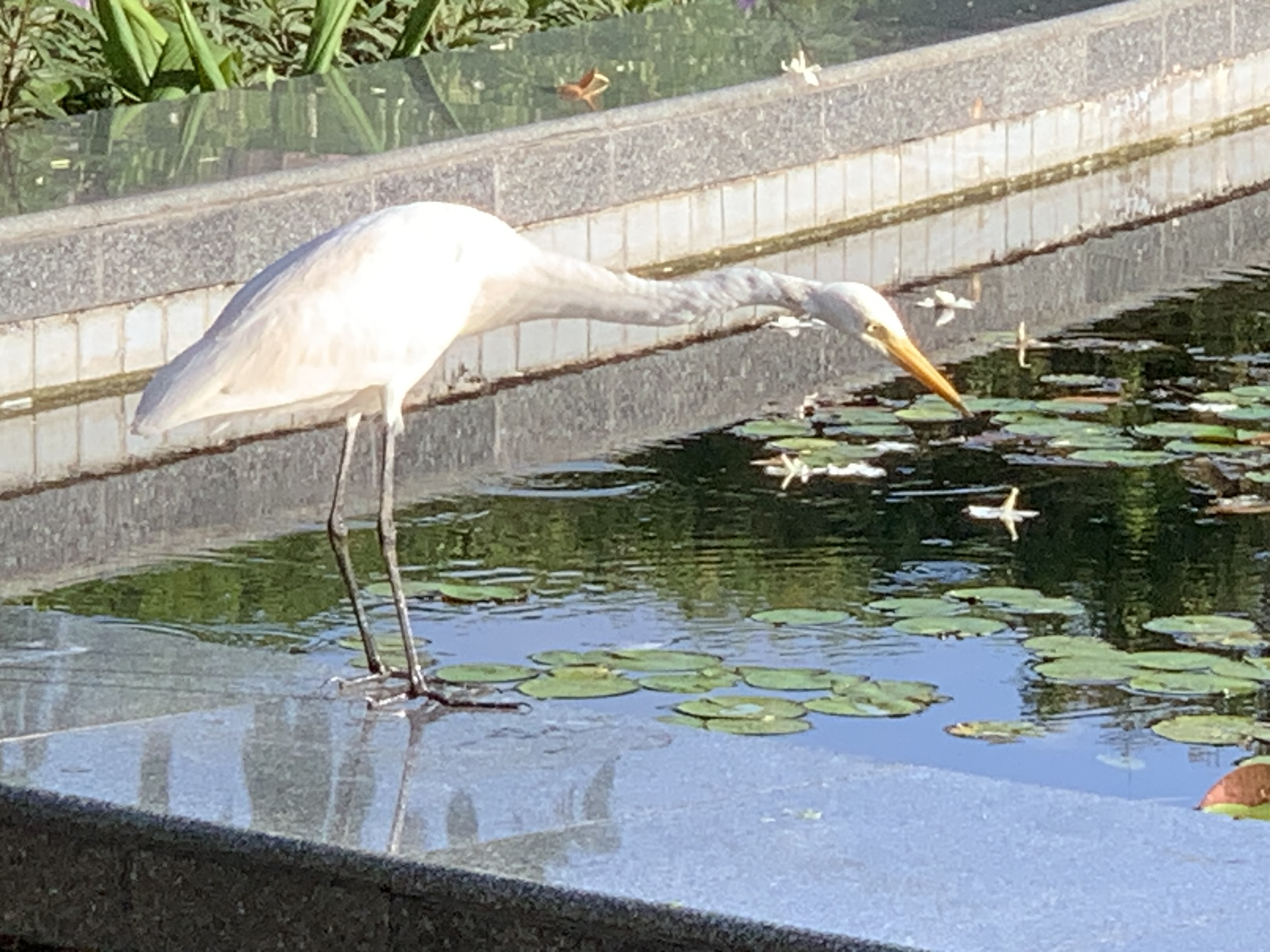 birdwatching spots13.jpg