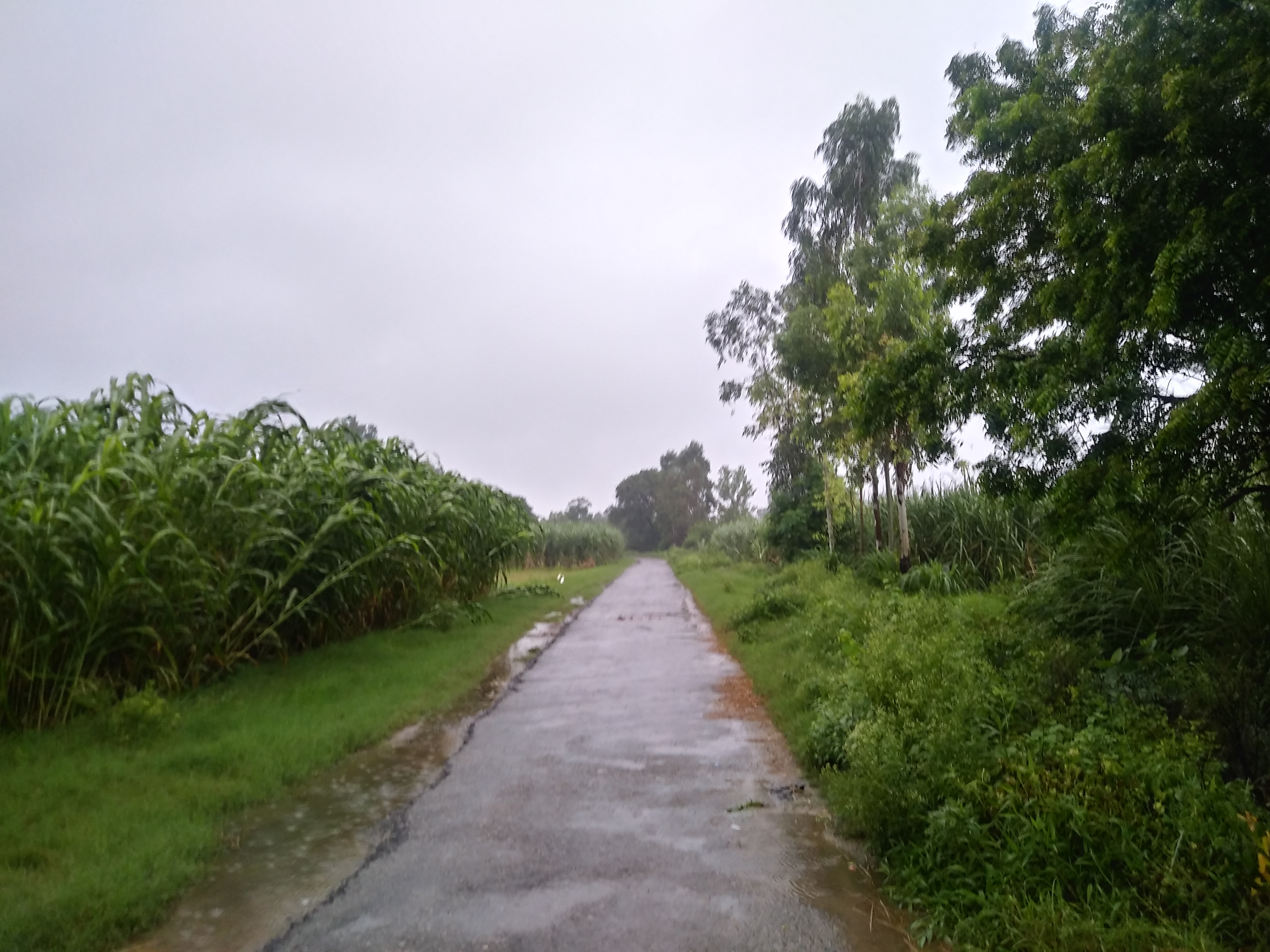20190818_071254_HDR.jpg