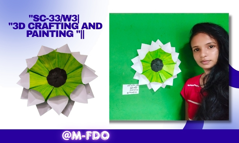 SC-33W3 3D crafting and painting .jpg