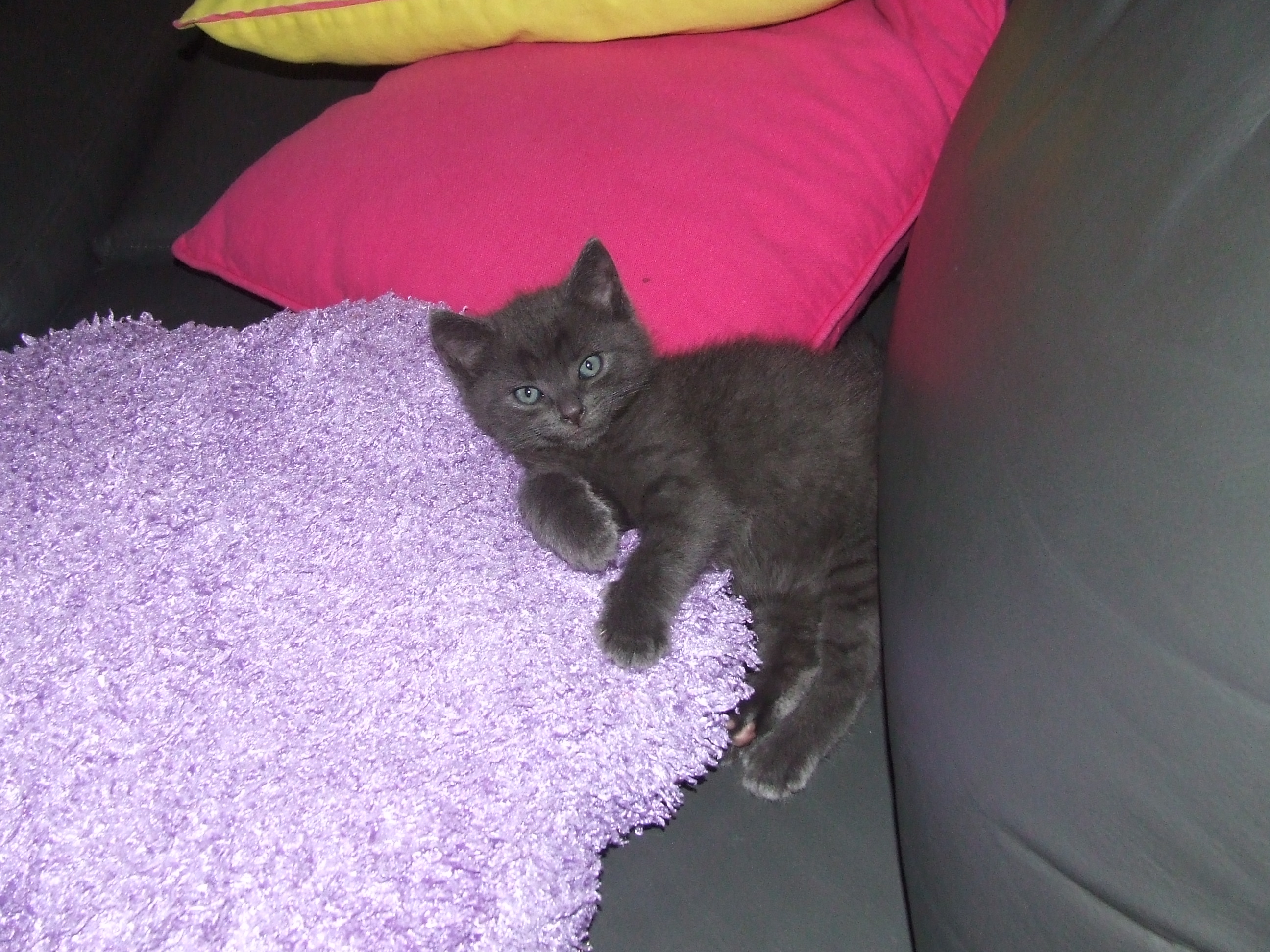 DSCF3605.JPG