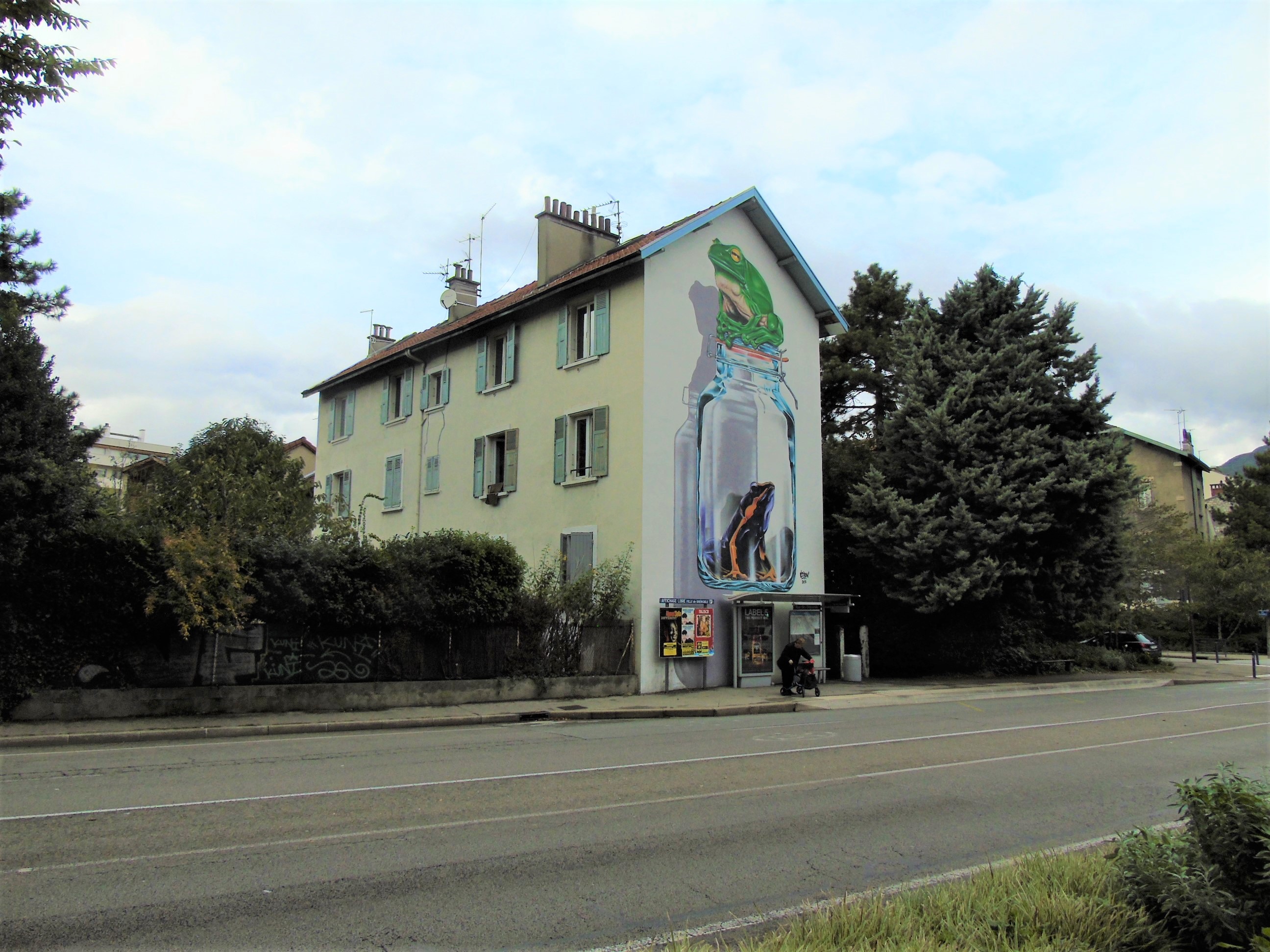 11111grenouille (5).JPG