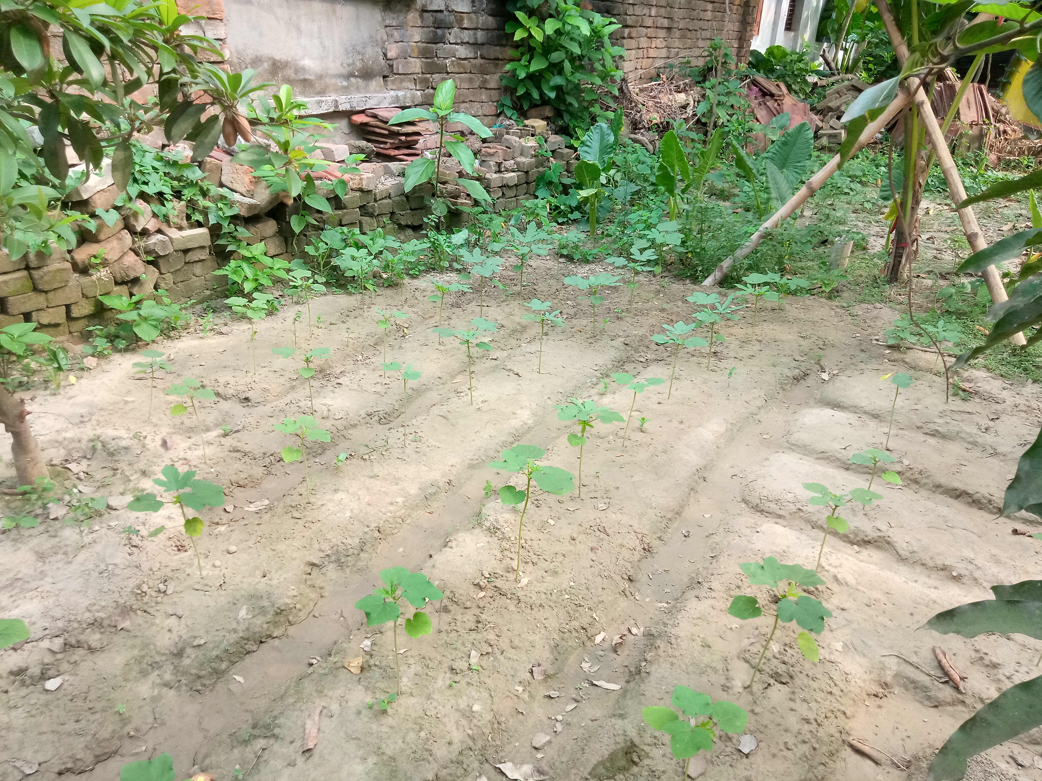 IMG20260523081521.jpg