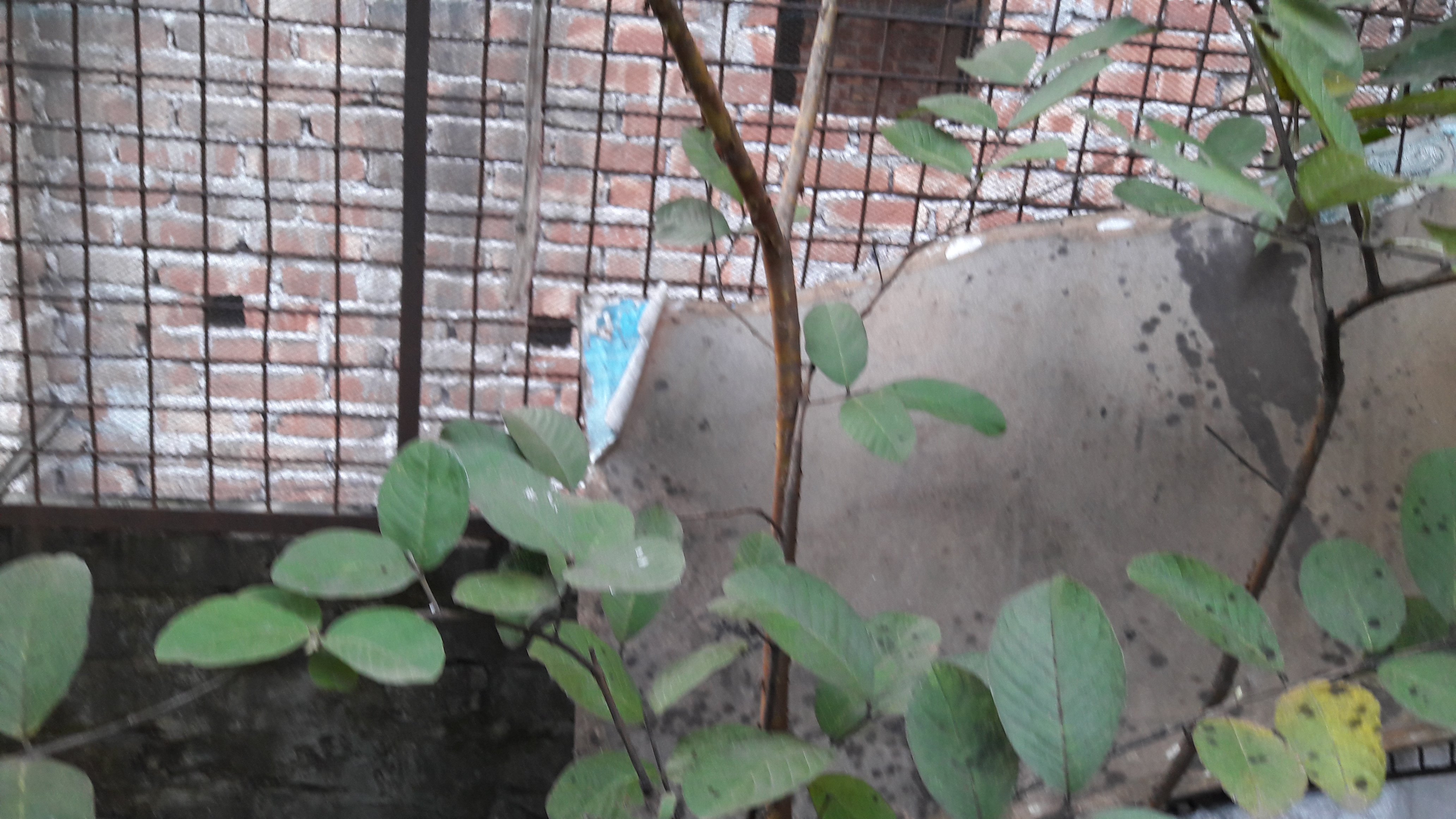 20180904_124520.jpg