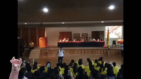 giphy (1).gif