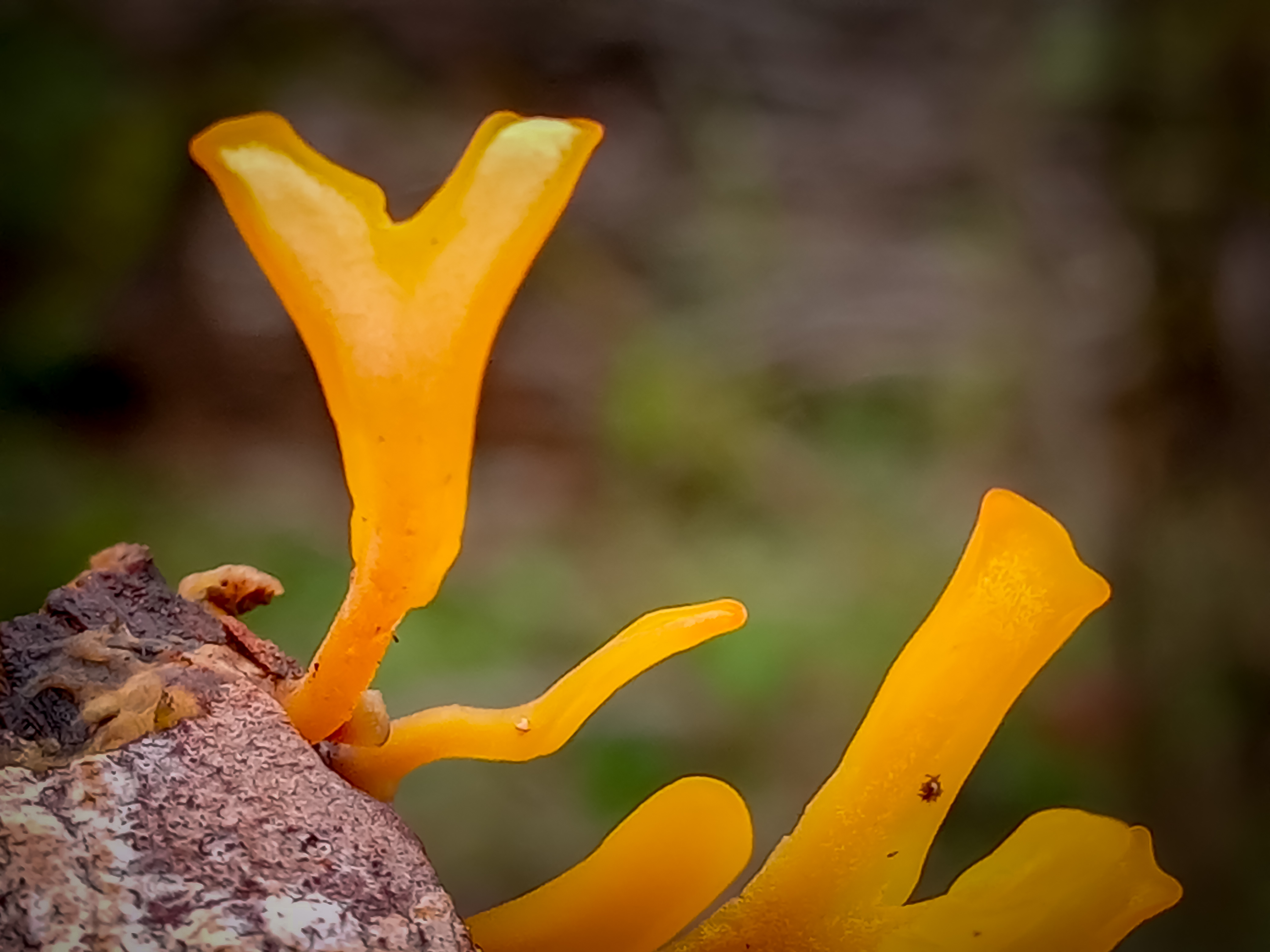 20220704_160017349 (1).jpg