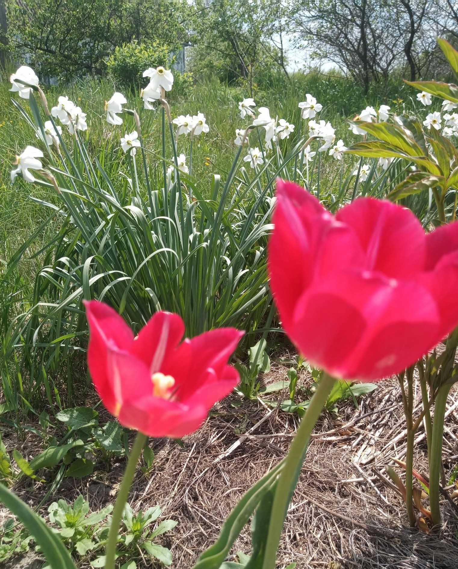 20260525_190541.jpg