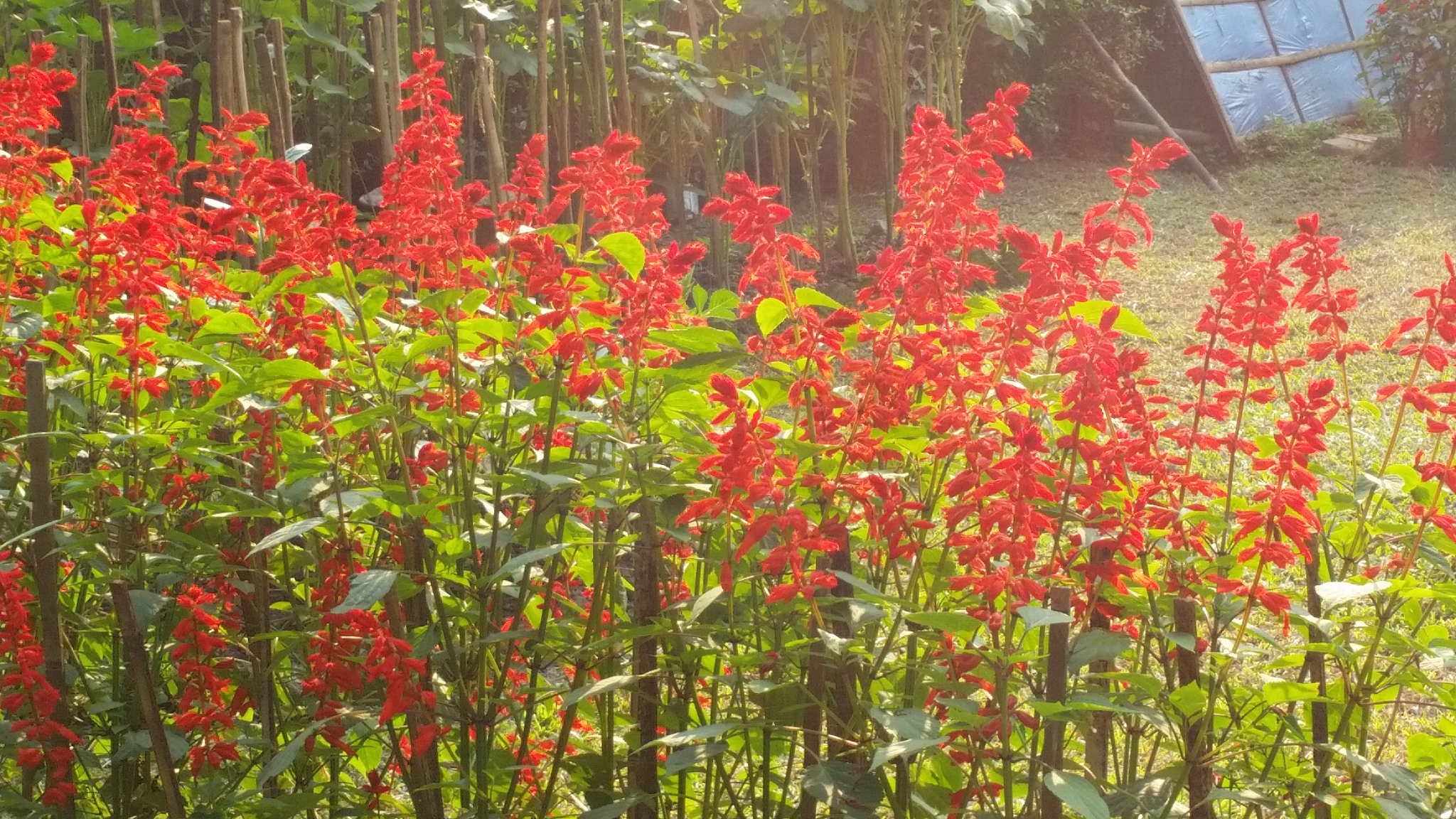 20190105_152152.jpg