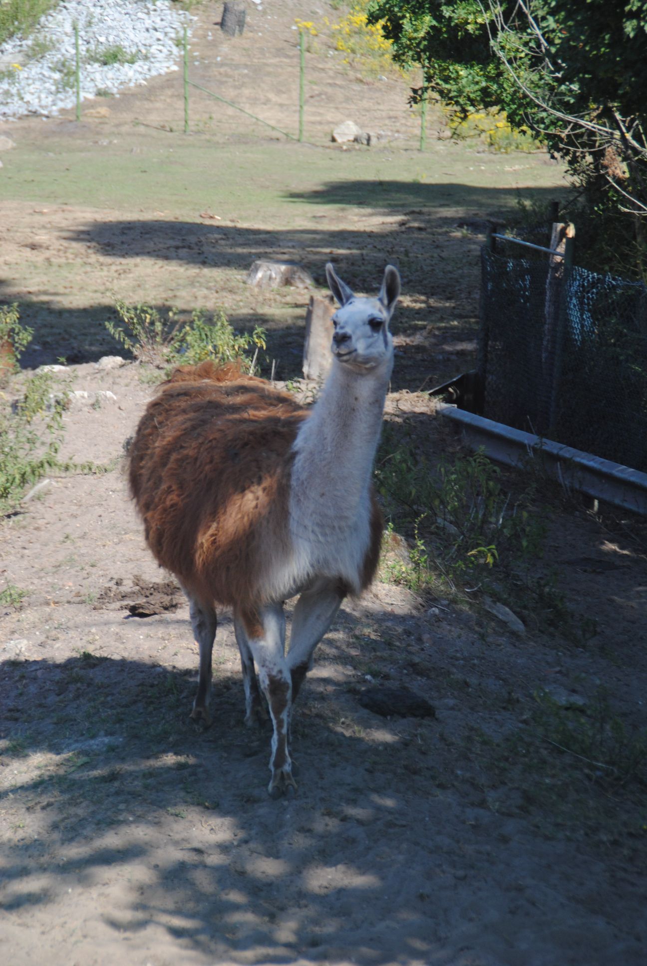 image012.jpg