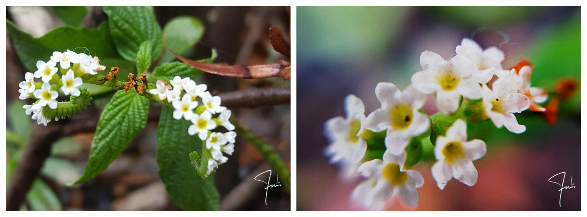 PicsArt_08-03-07.10.53.jpg