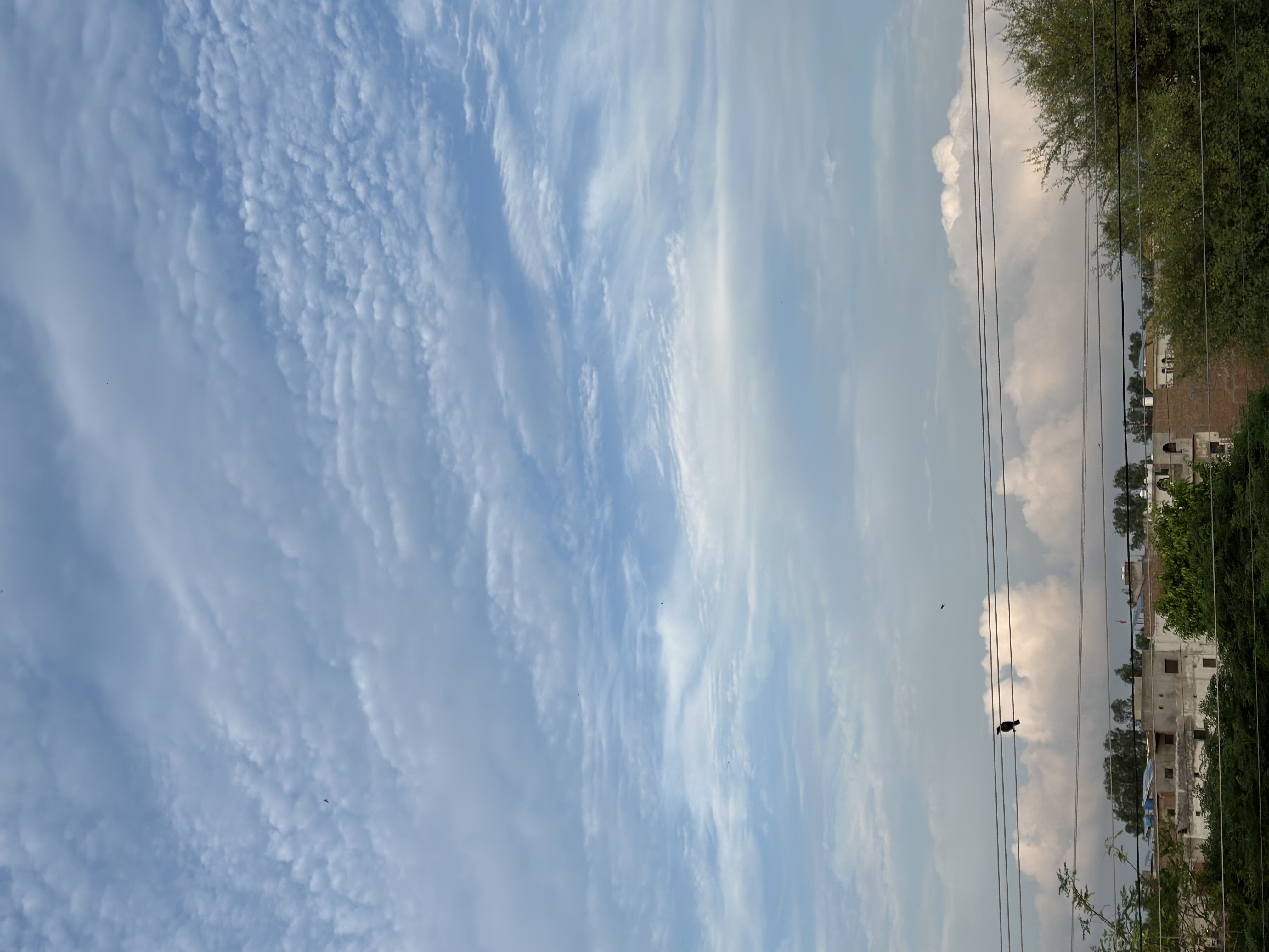 IMG_6919.jpeg