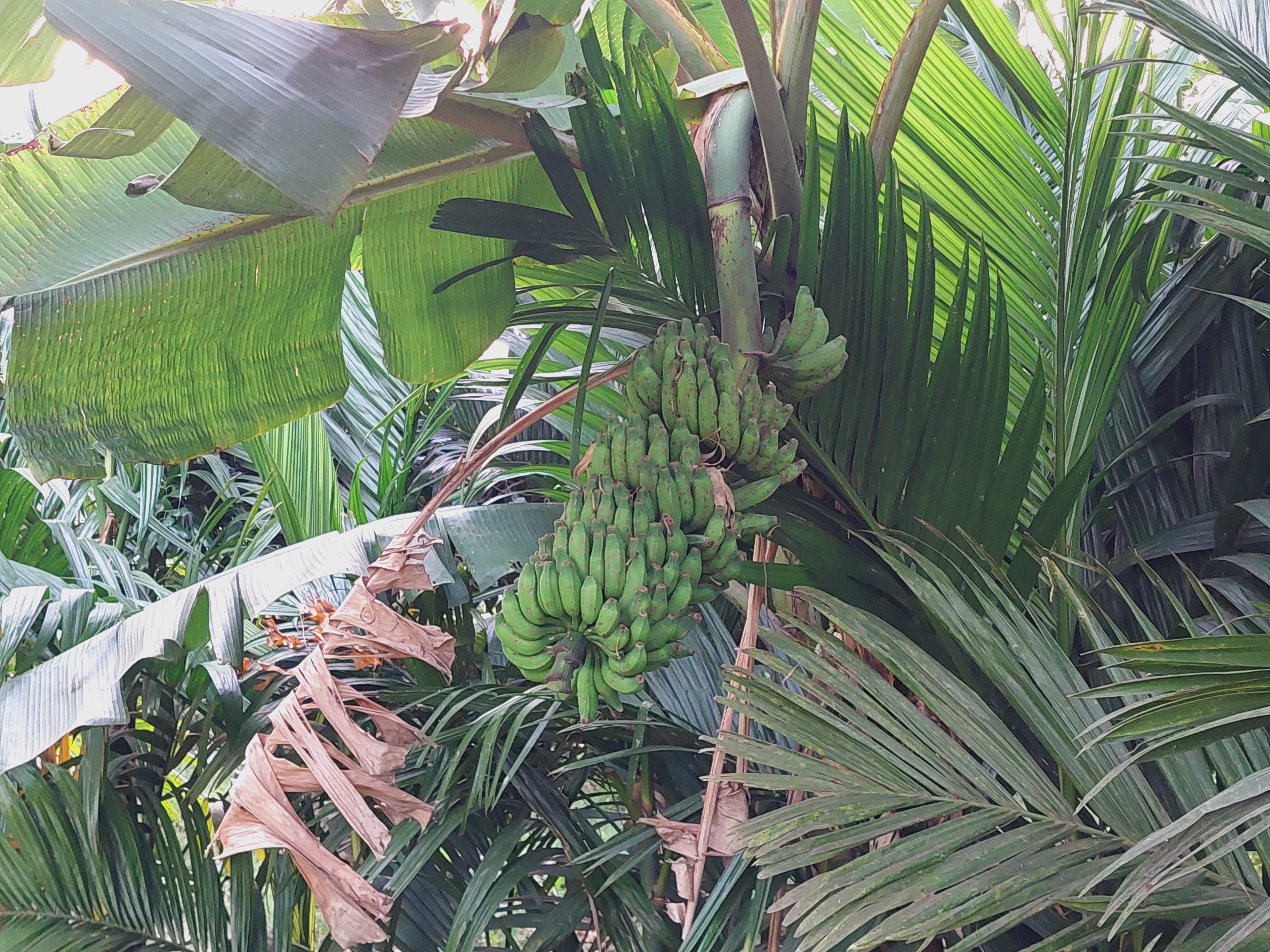 20260606_183059.jpg