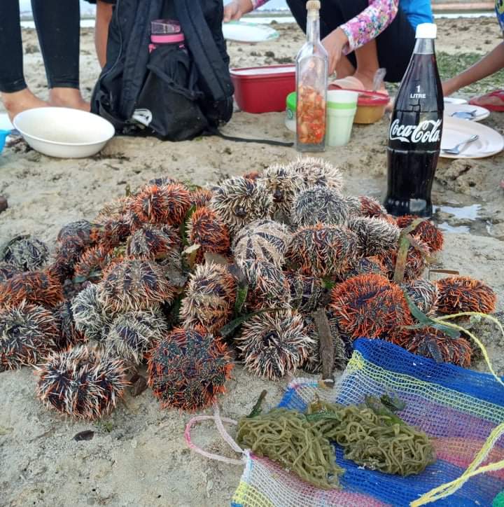 received_495030589476939.jpeg