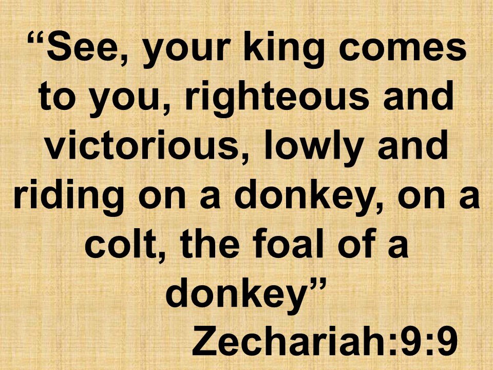 Prophet Zechariah and Jesus. See, your king comes to you, righteous and victorious, lowly and riding on a donkey, on a colt, the foal of a donkey. Zechariah 9,9.jpg