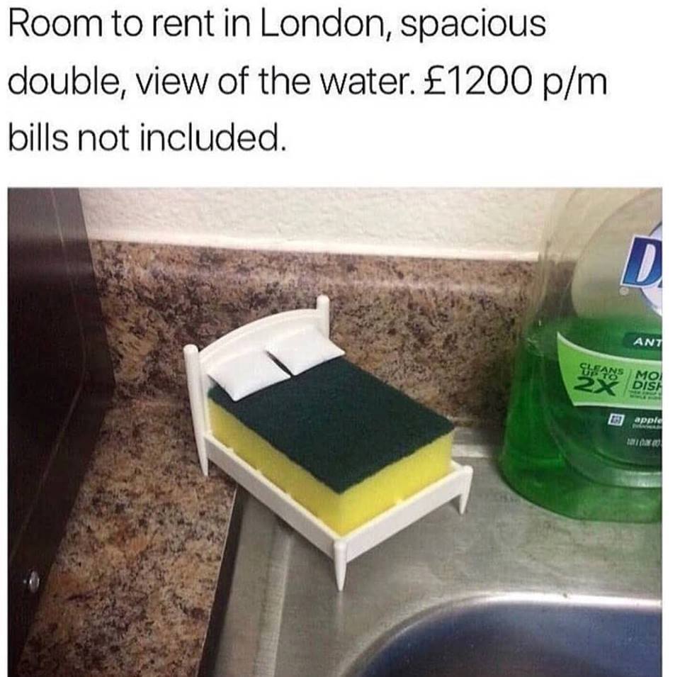 35077516_10214507973327487_1774996604890120192_n.jpg