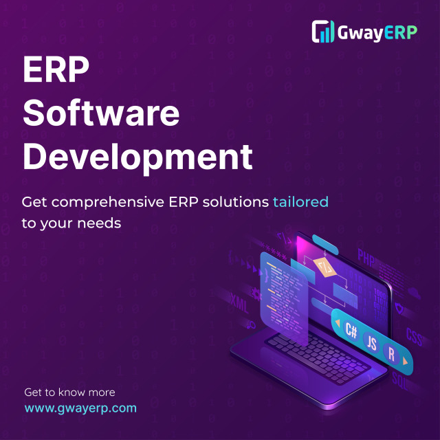 ERP Software Development.jpg
