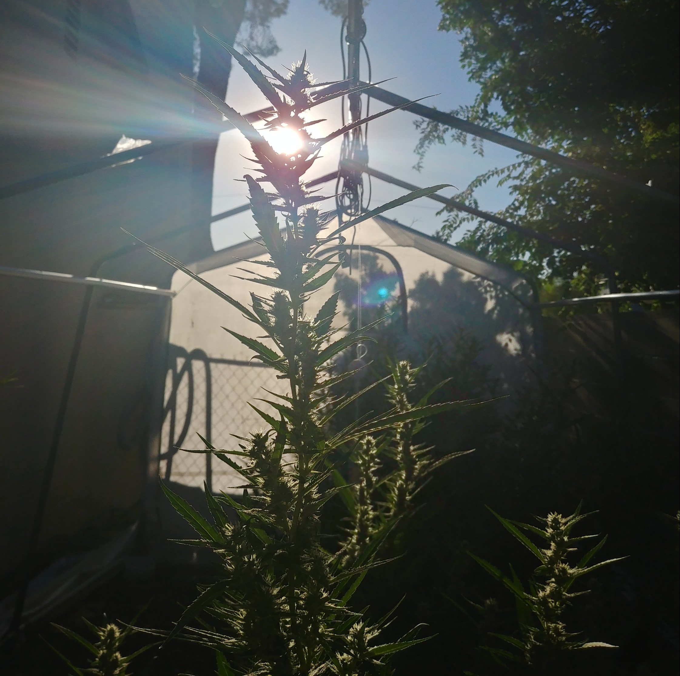 20180909_174707_HDR-1.jpg