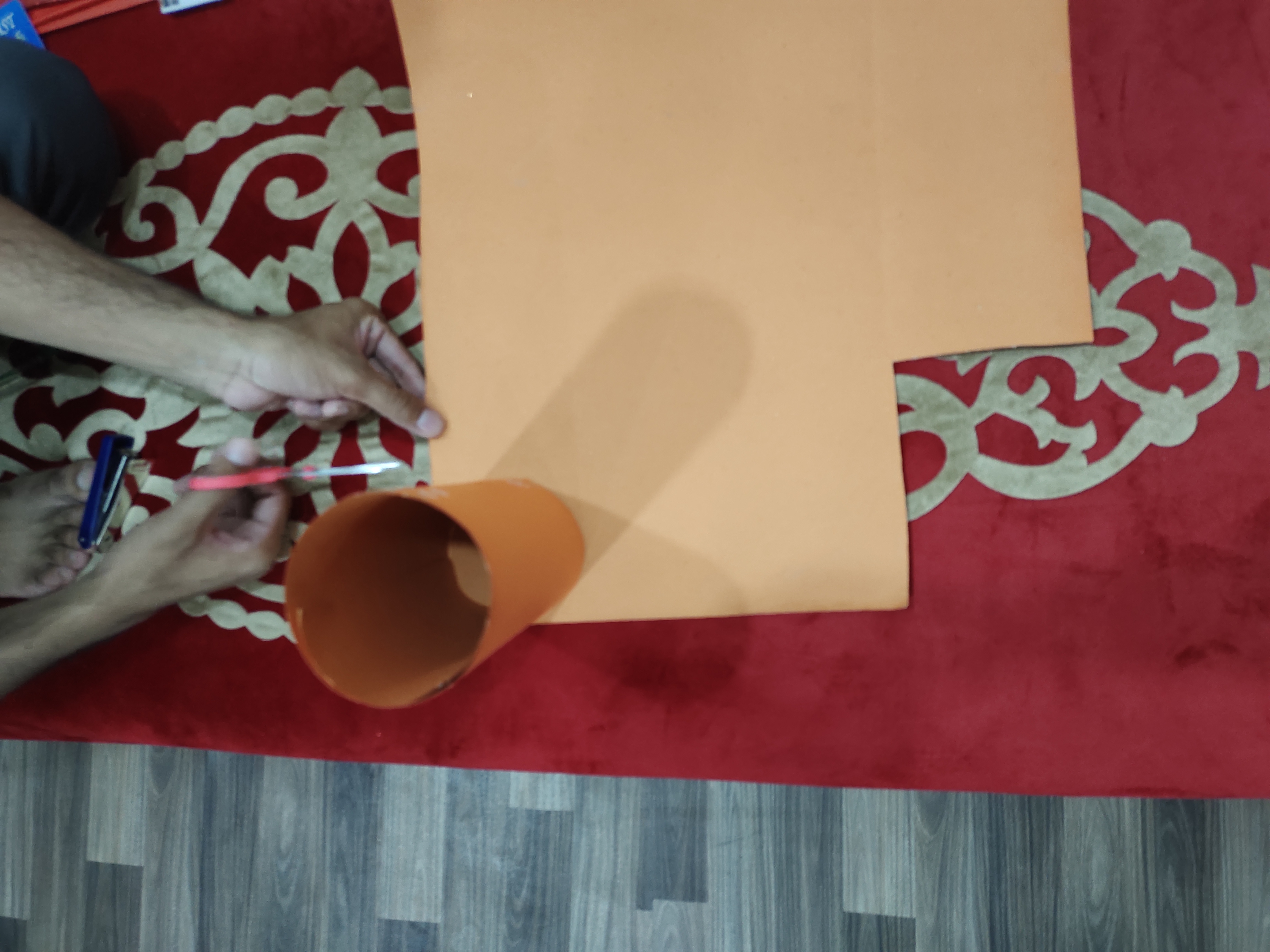 IMG_20220717_154454.jpg