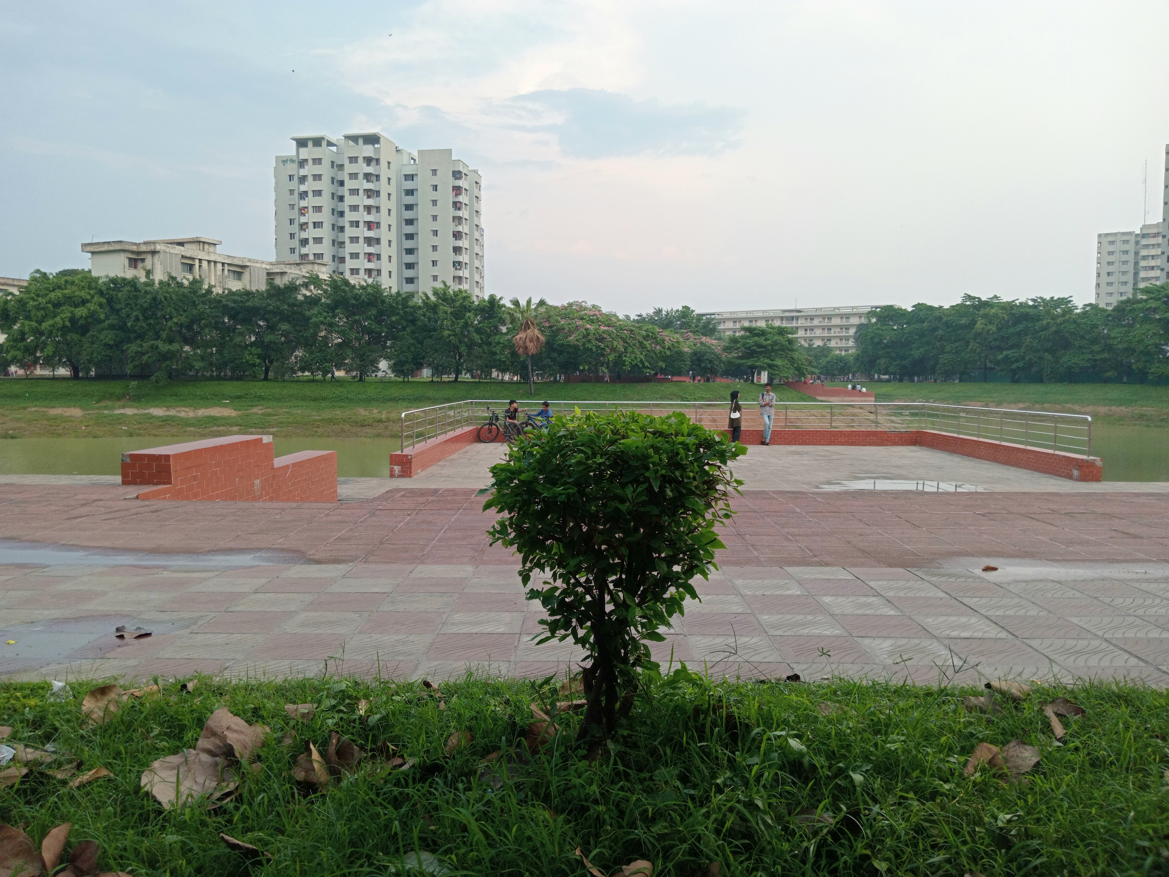 20260510_173907.jpg