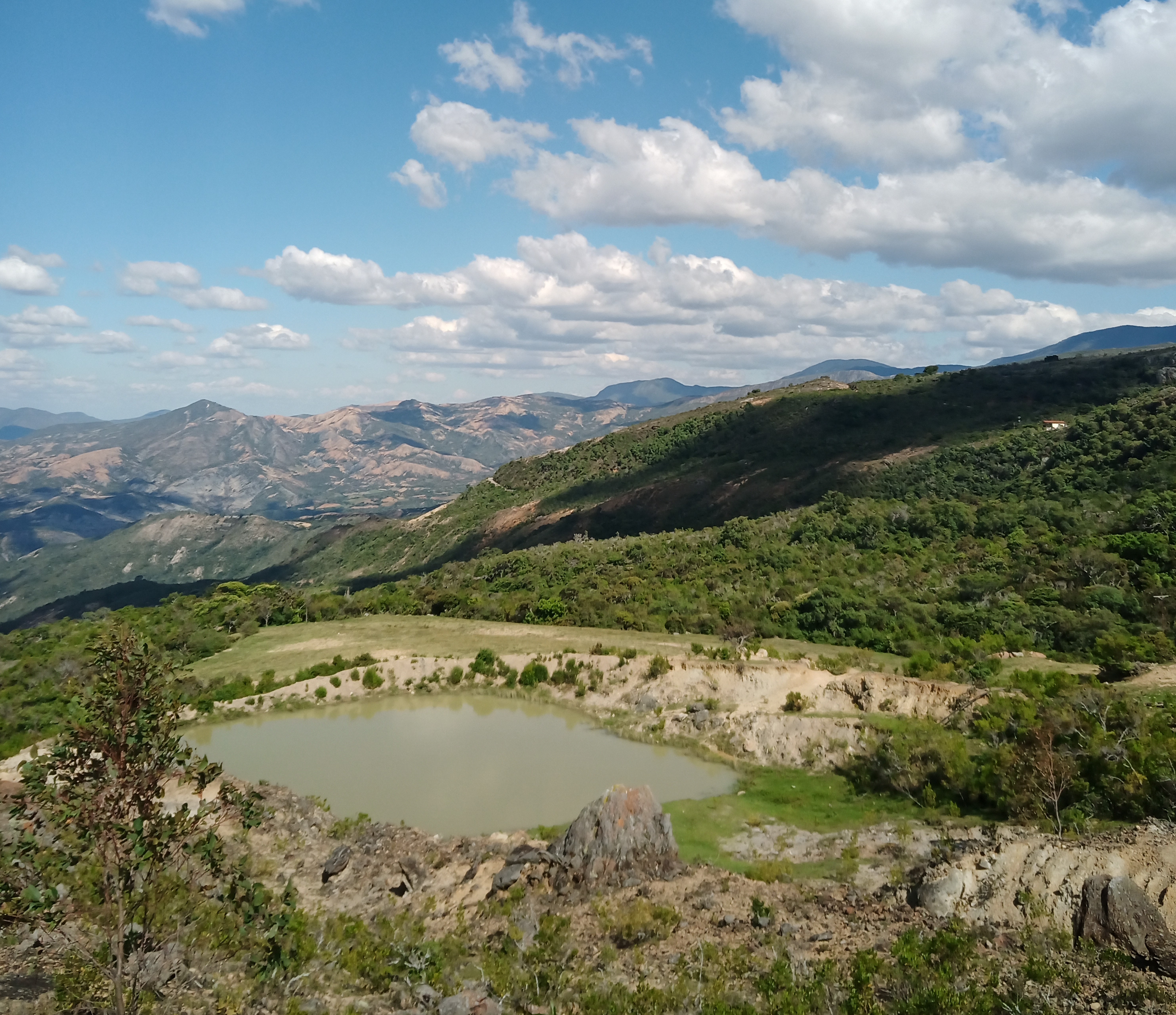 IMG_20220120_151551_3 (2).jpg