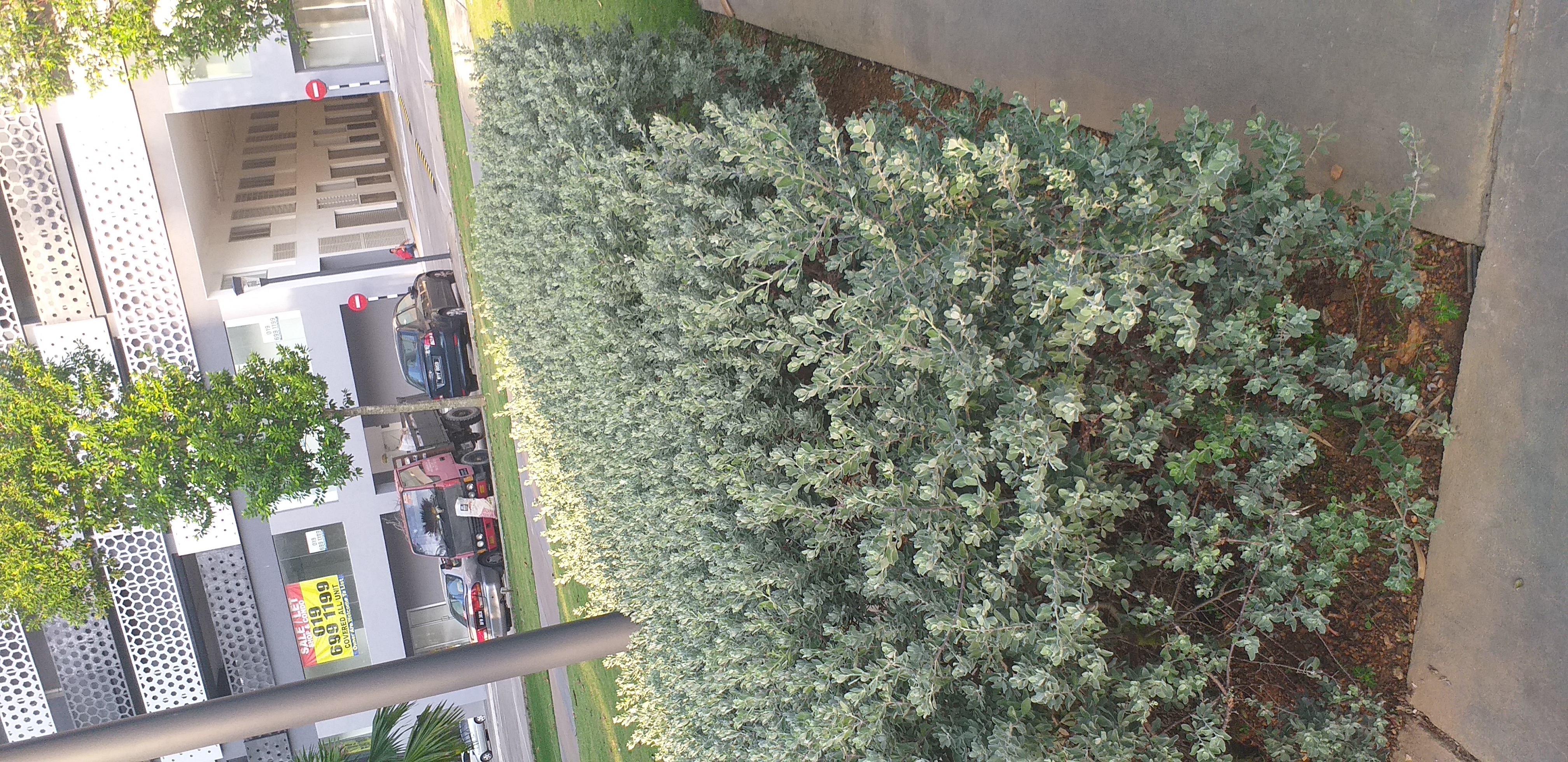 20190710_075341.jpg
