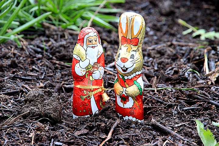 santa-claus-774969__480.jpg