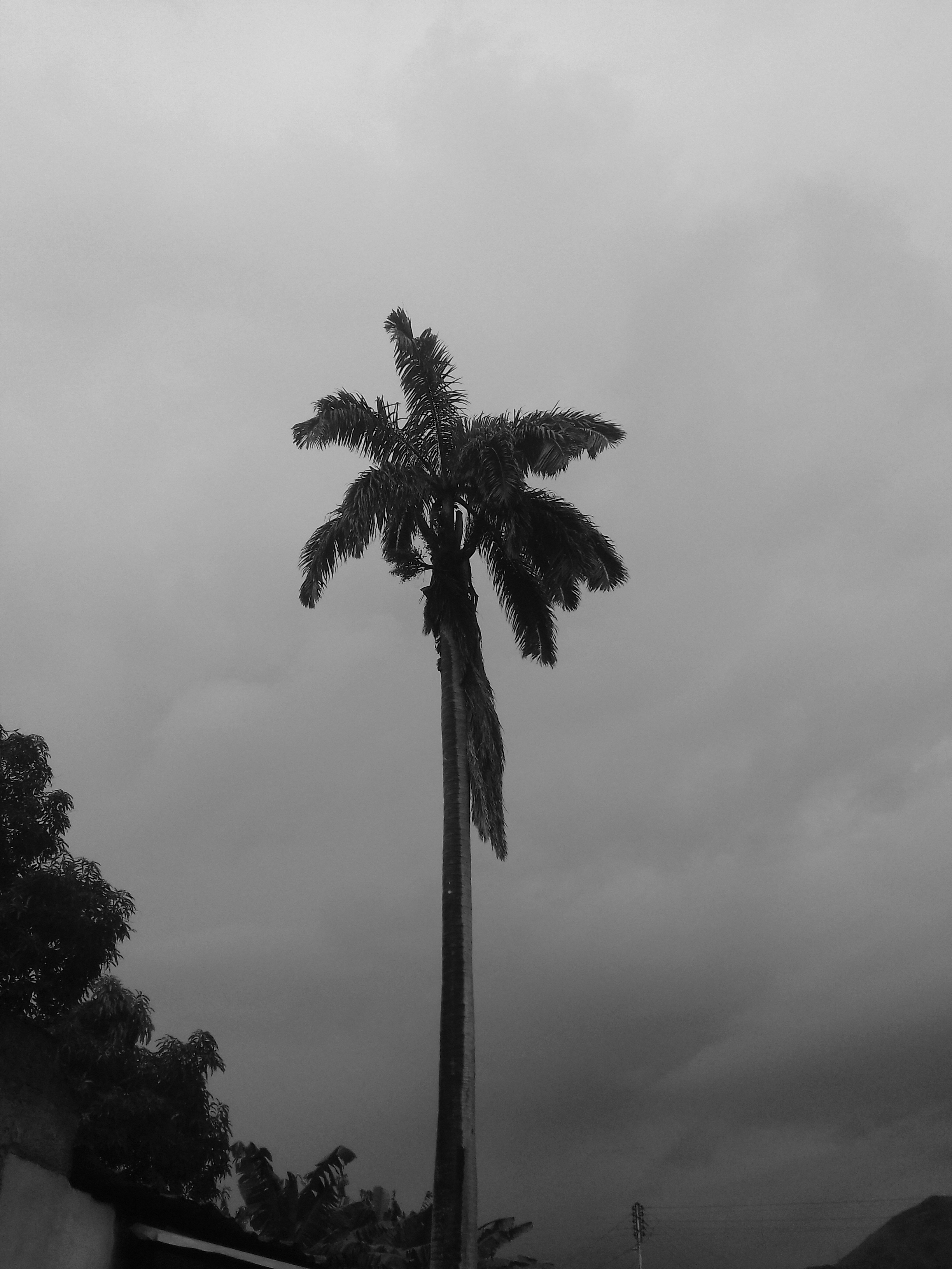 20210709_141416.jpg