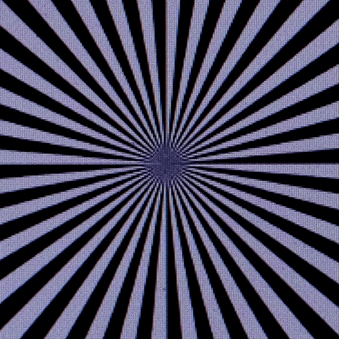 02 Nikon-2,8-DSCF6839-fs_cr-c.jpg