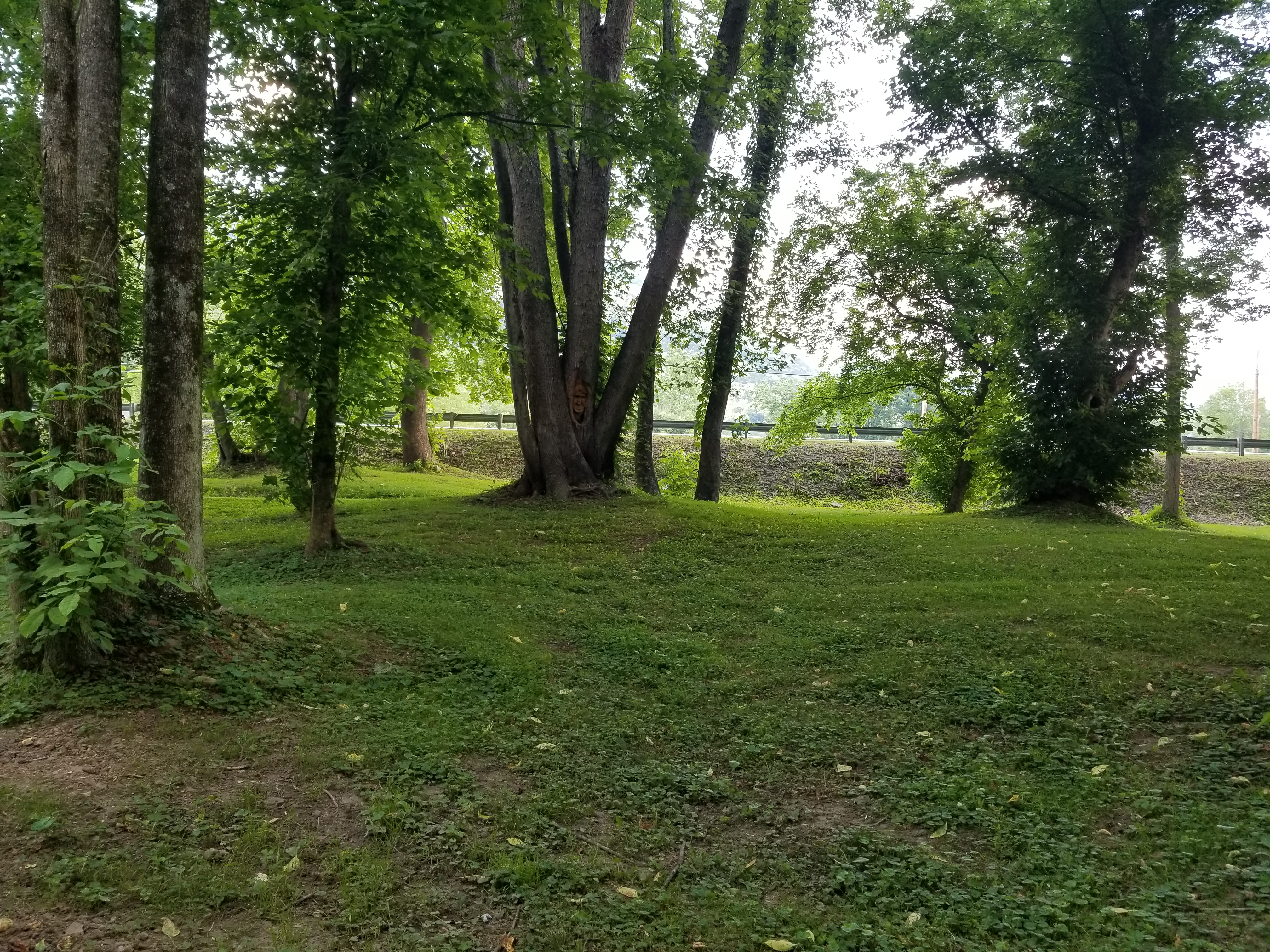 20180609_180034.jpg