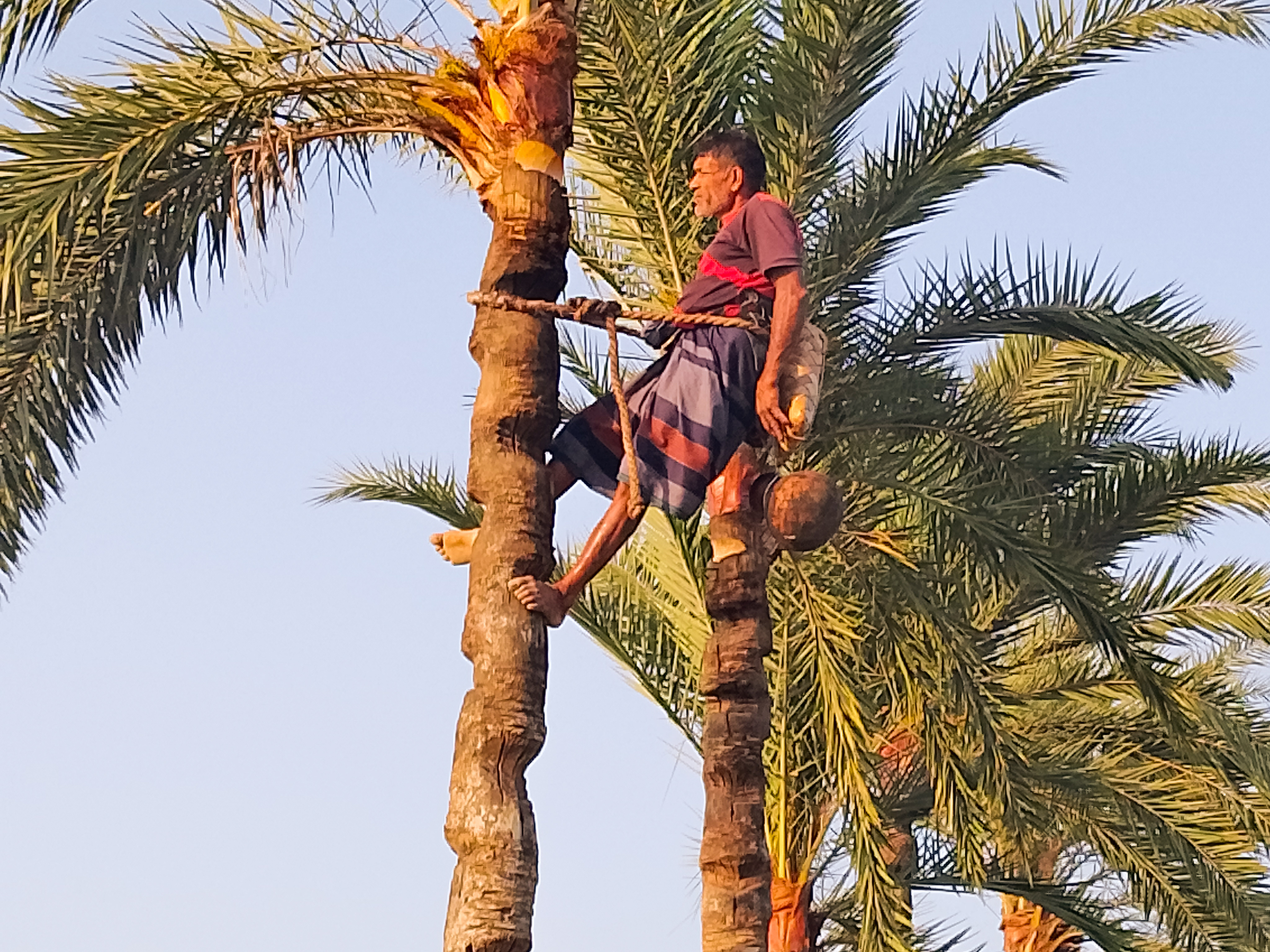 IMG_20250210_163456 (1).jpg